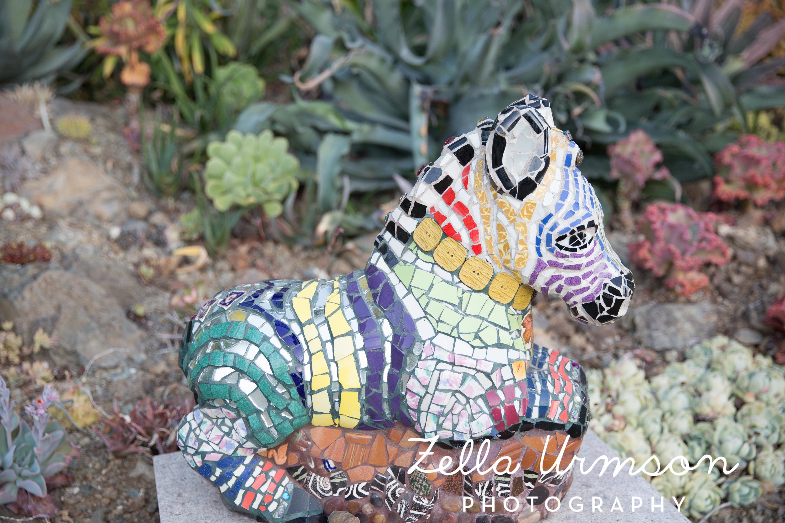 RBGSS7.1.17 w ZUP -281.JPG