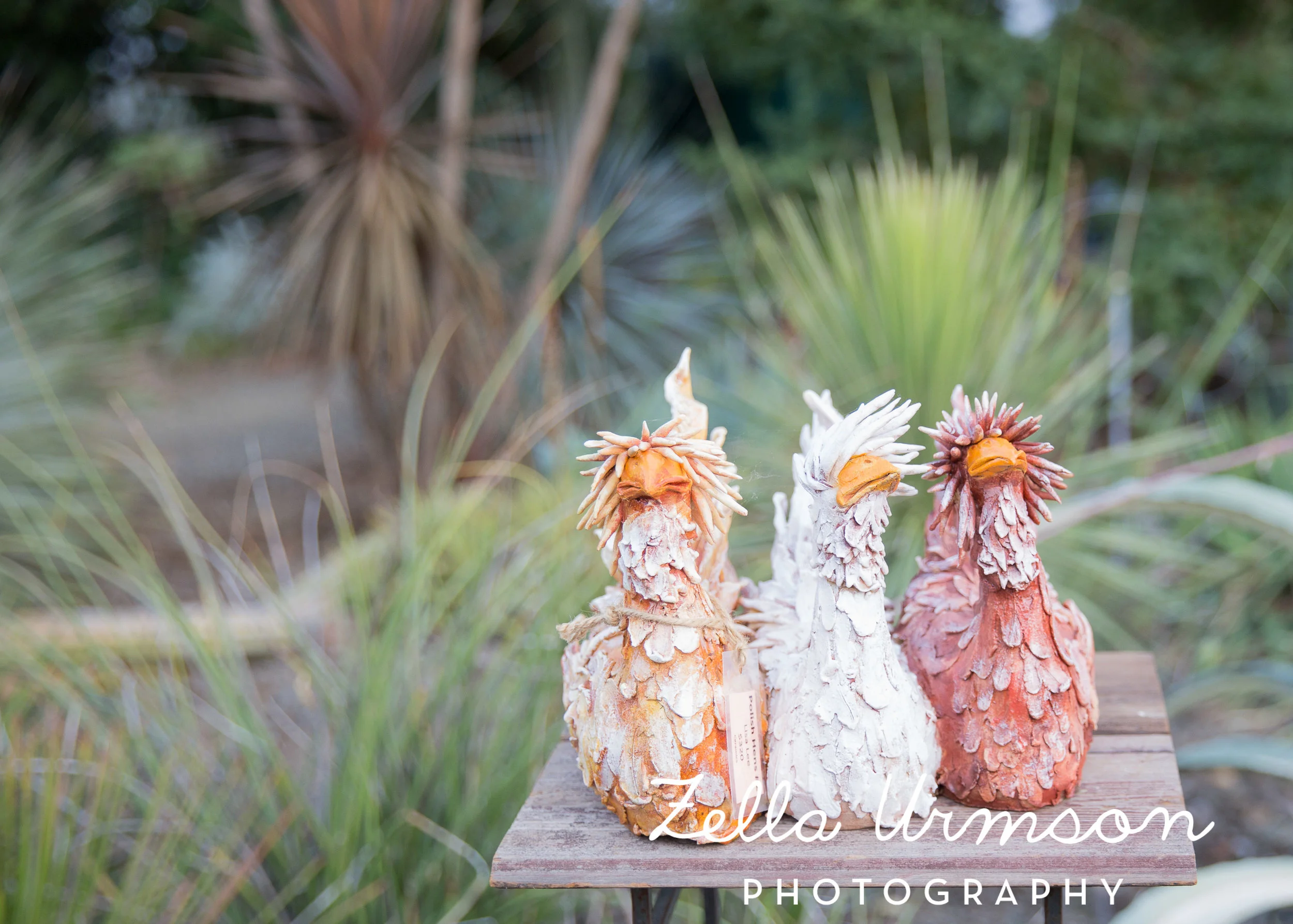 RBGSS7.1.17 w ZUP -285.JPG