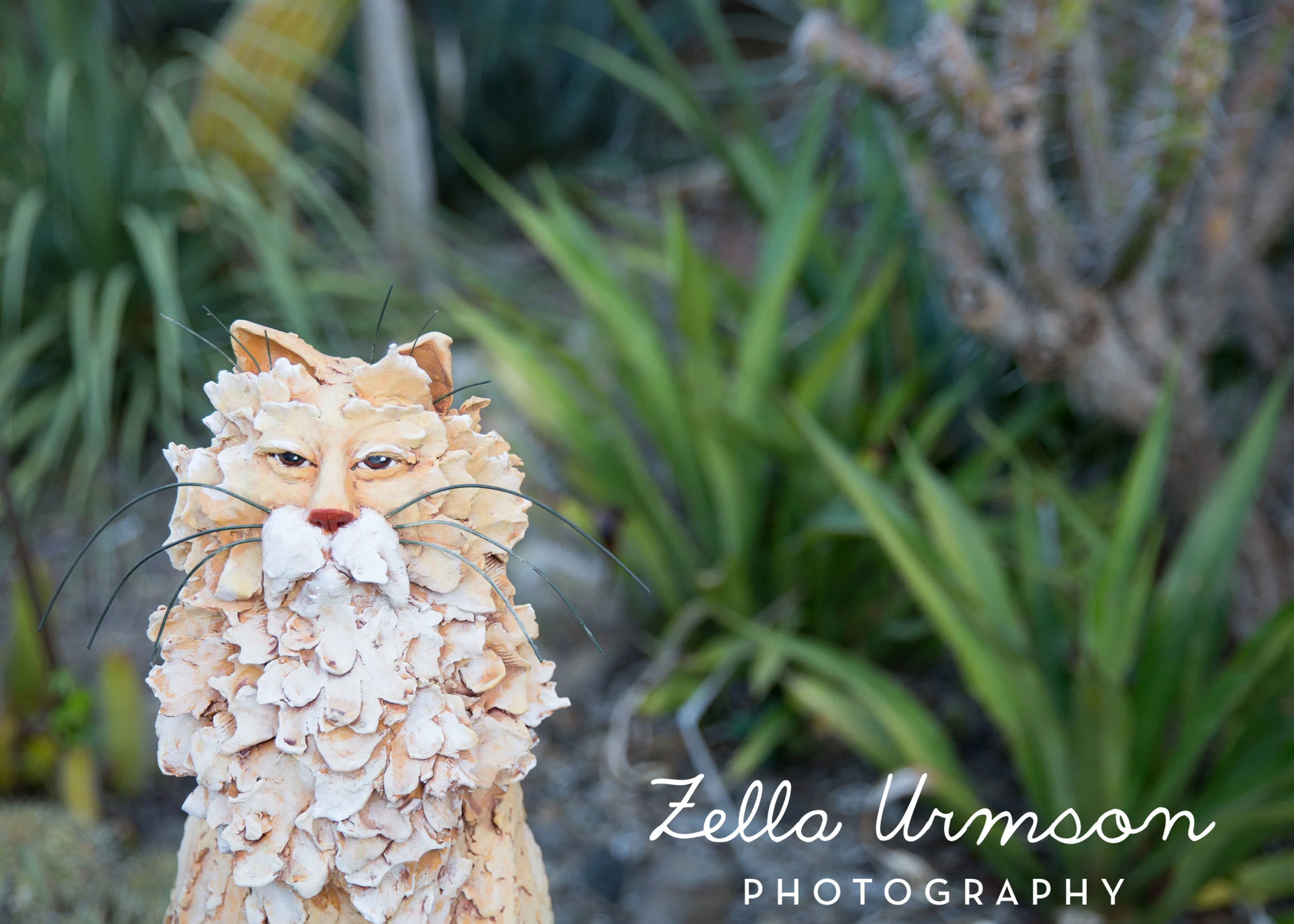 RBGSS7.1.17 w ZUP -286.JPG