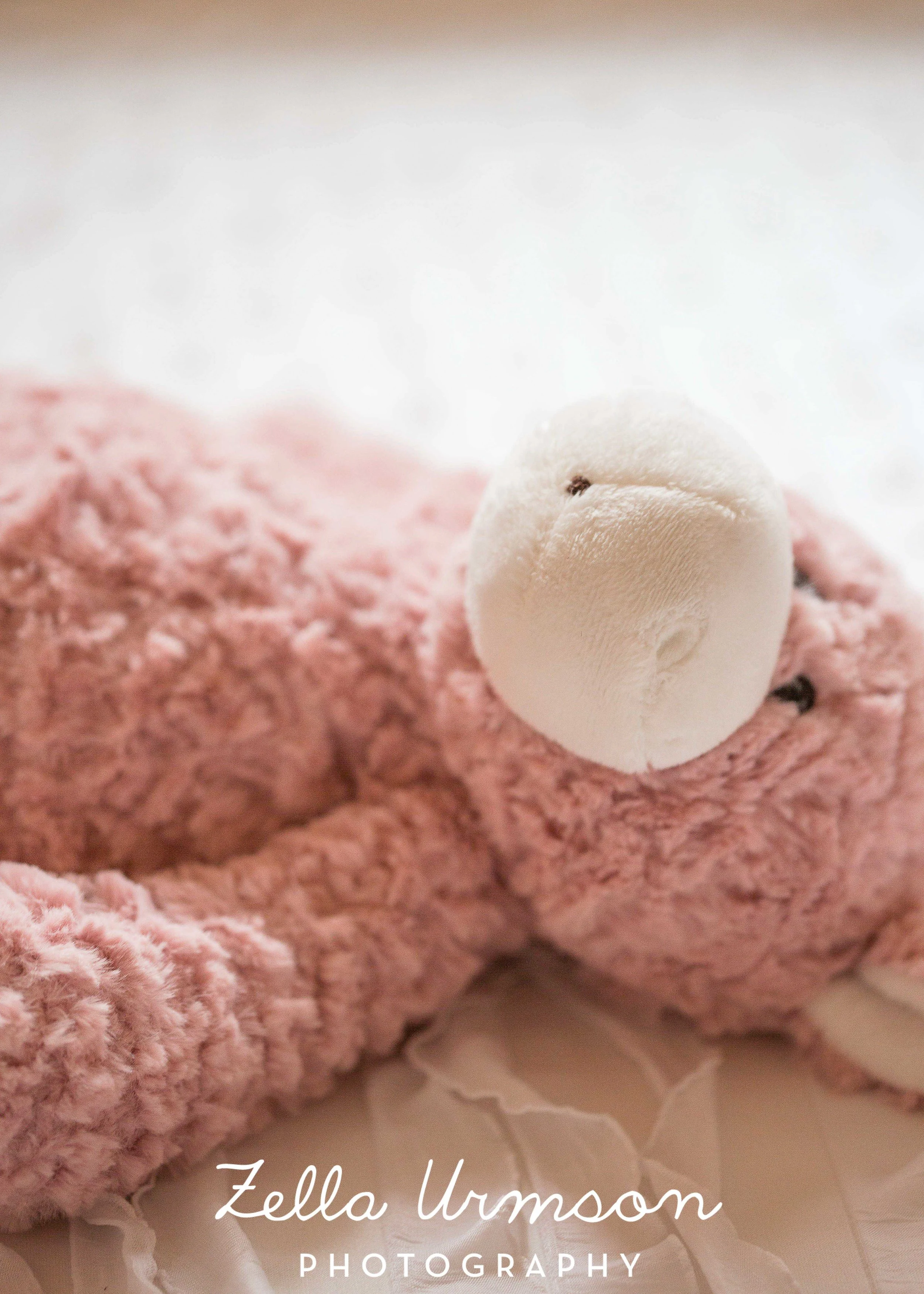 Kaylee Baby post ZUP-5.JPG