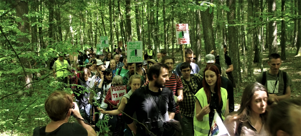 forestprotest.png
