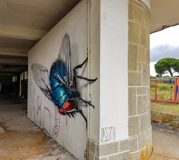 fly by odeith.jpg