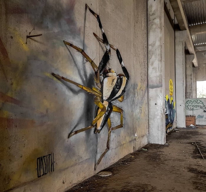 Spider by Odeith.jpg