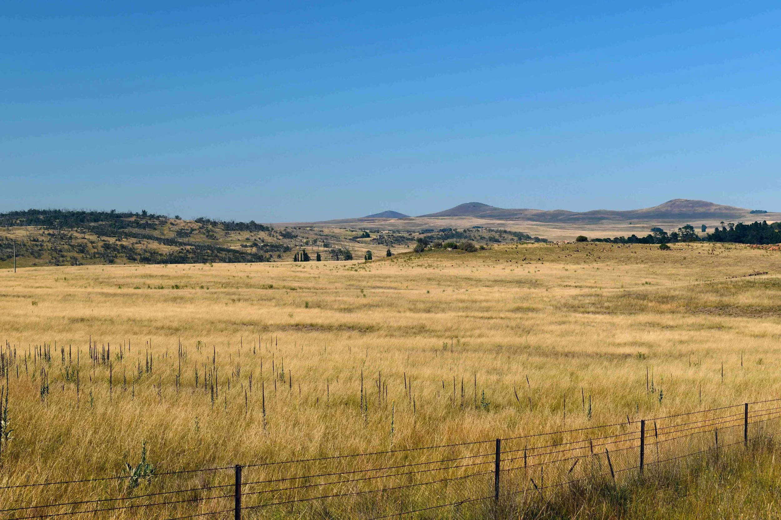 3 Volcanic Cones set in the background of the golden treeless plains commonly called the 3 Brothers - located on the Central Monaro Plains  in NSW
