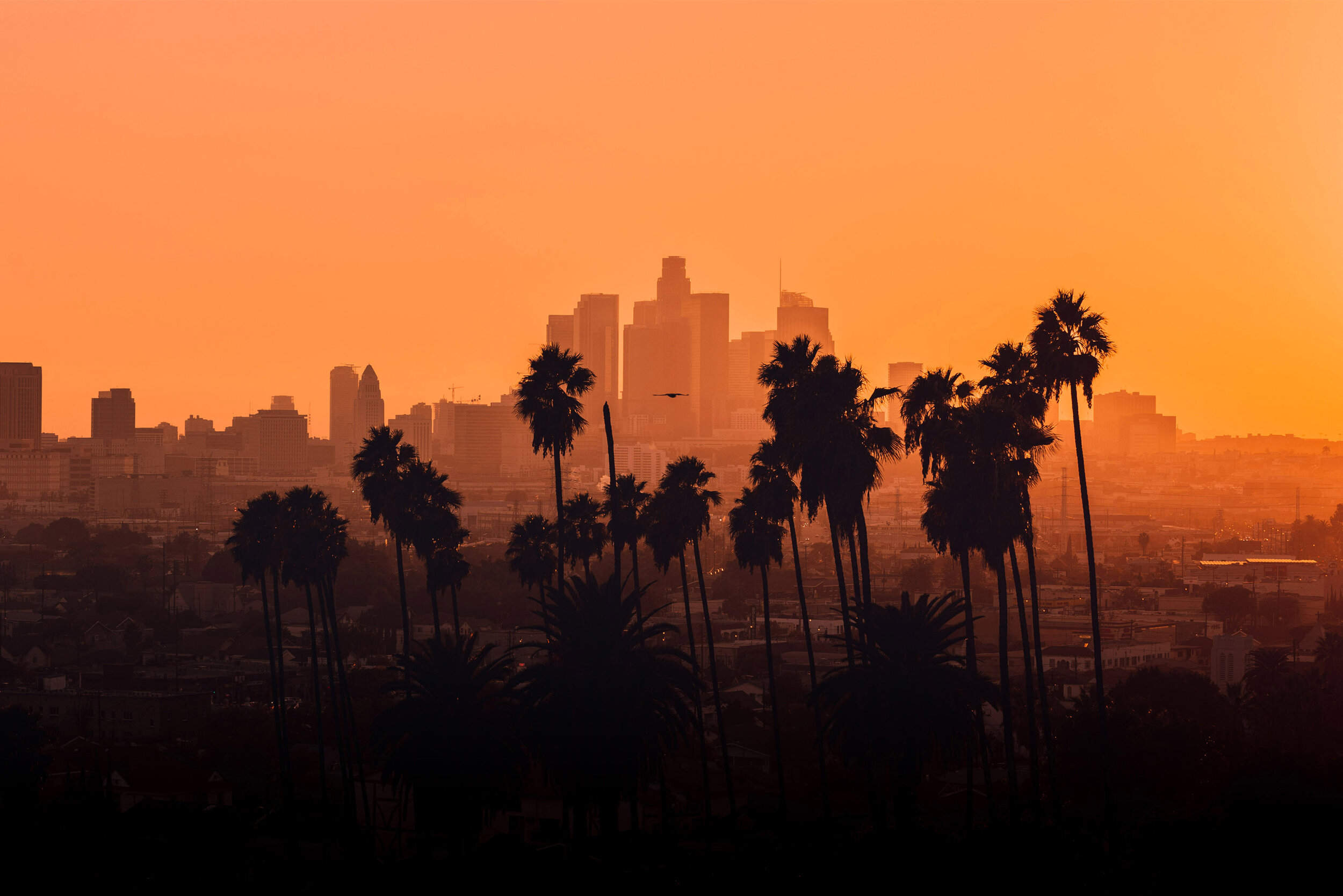 Los-Angeles-01.jpg