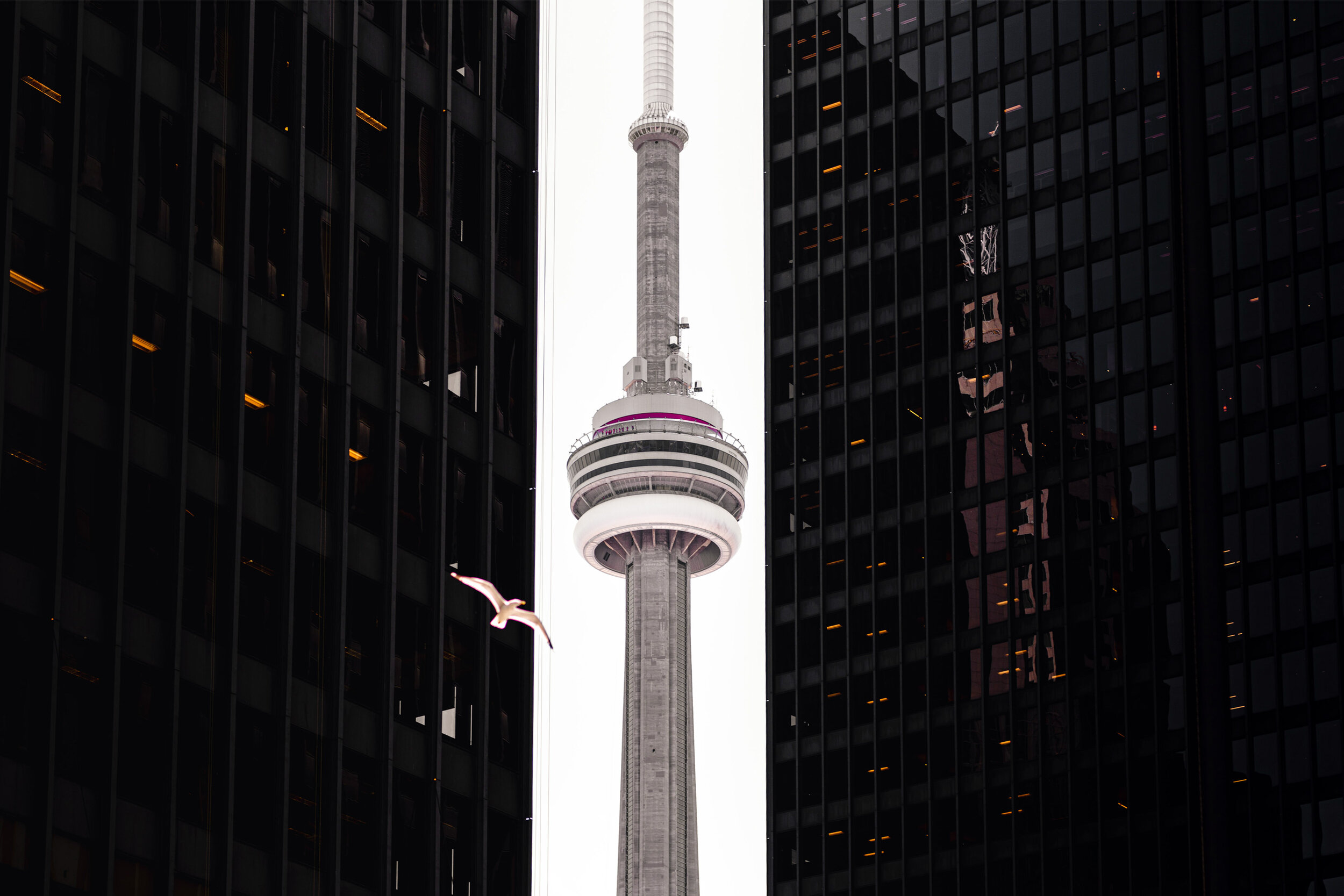 Toronto-08.jpg