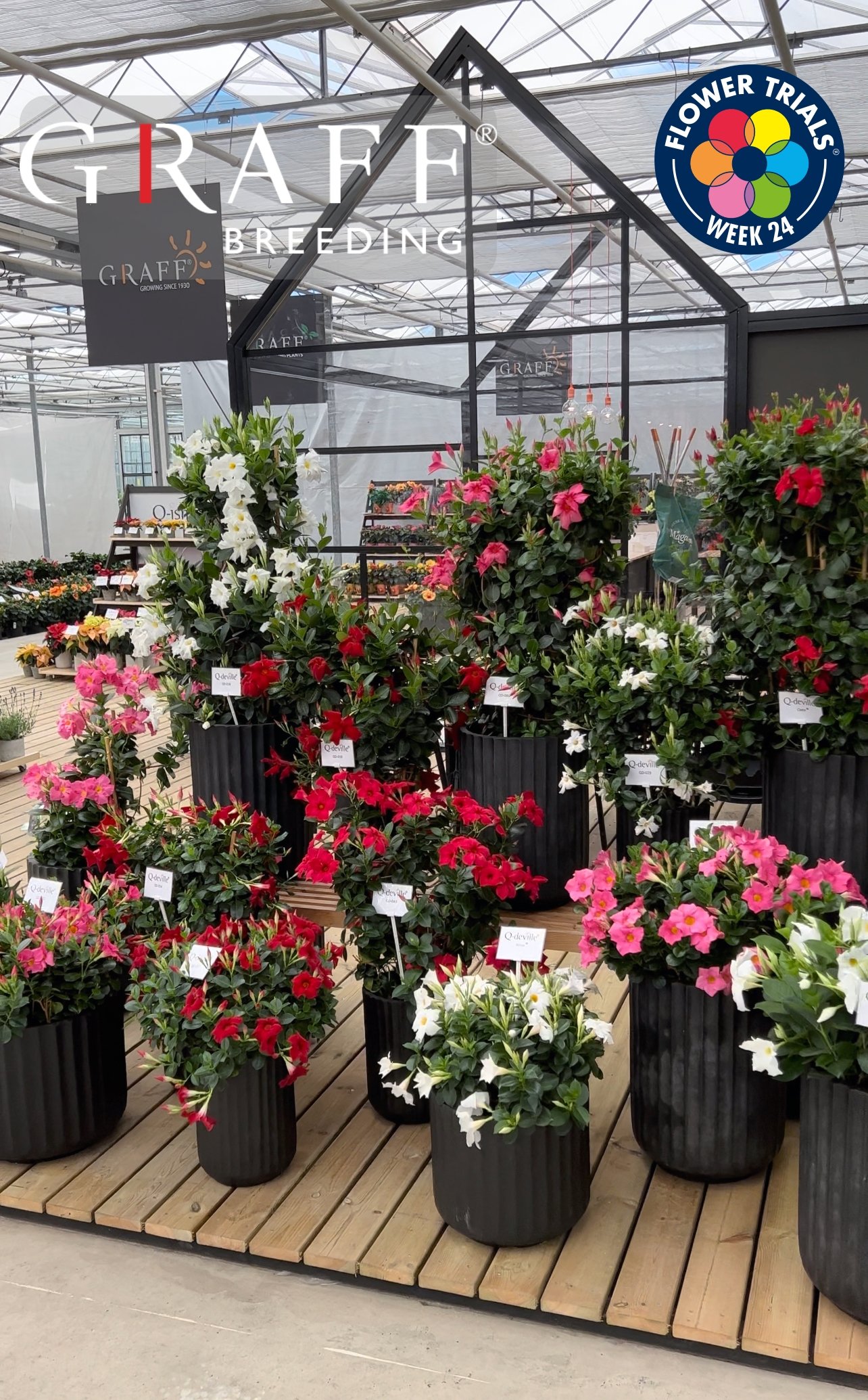 We change location at FlowerTrial 2023