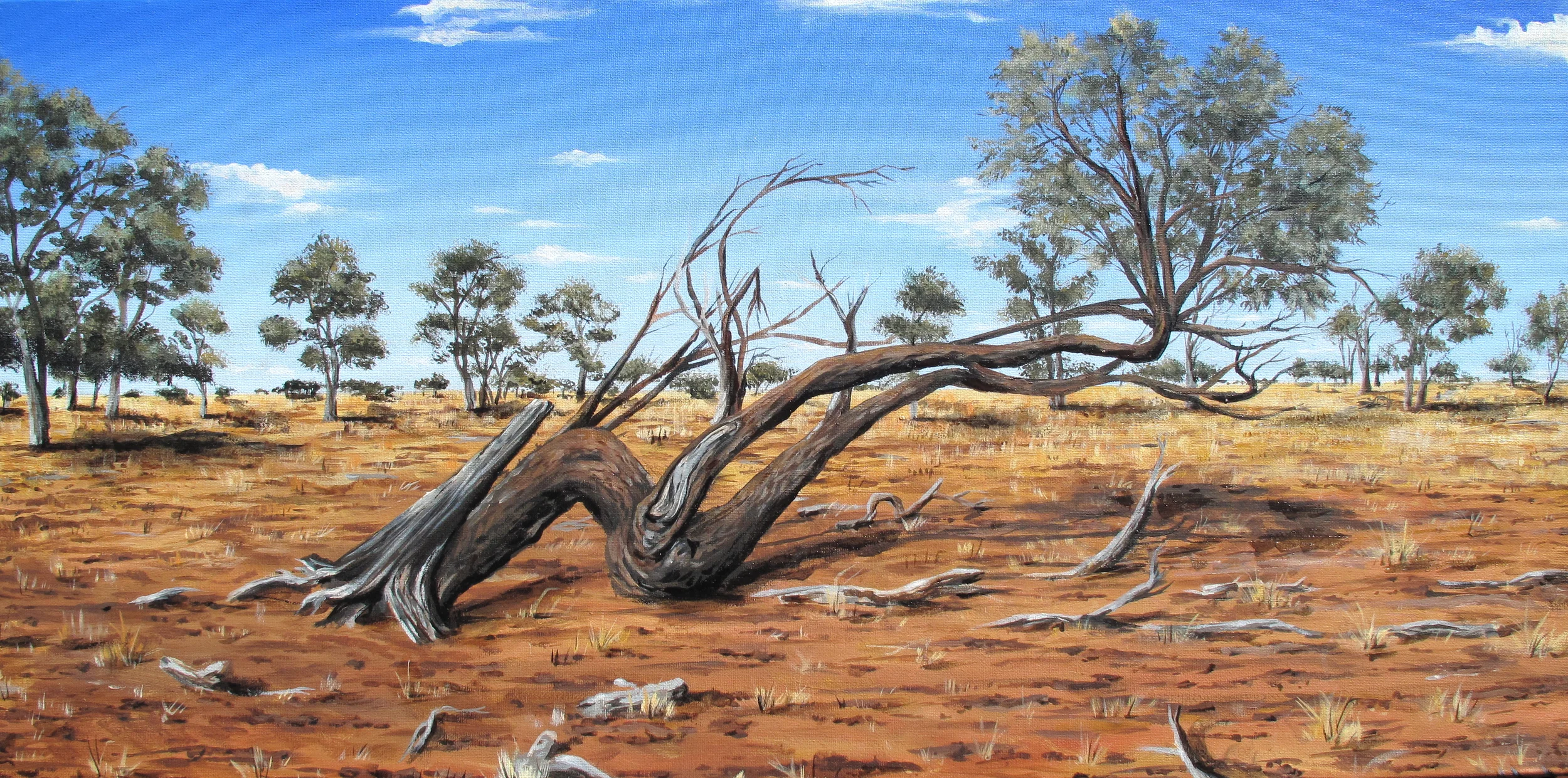 Dry Season