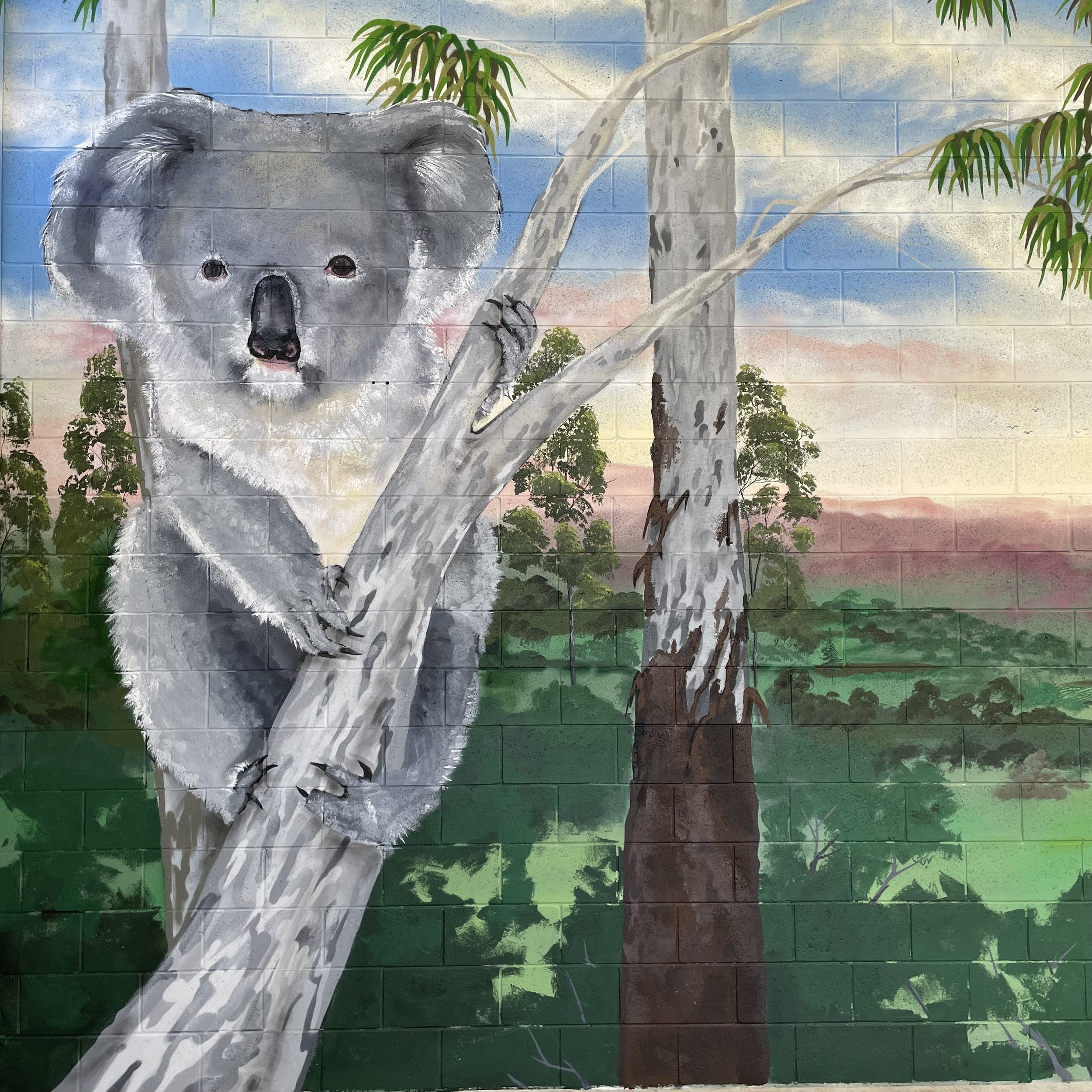 Peak Crossing State School