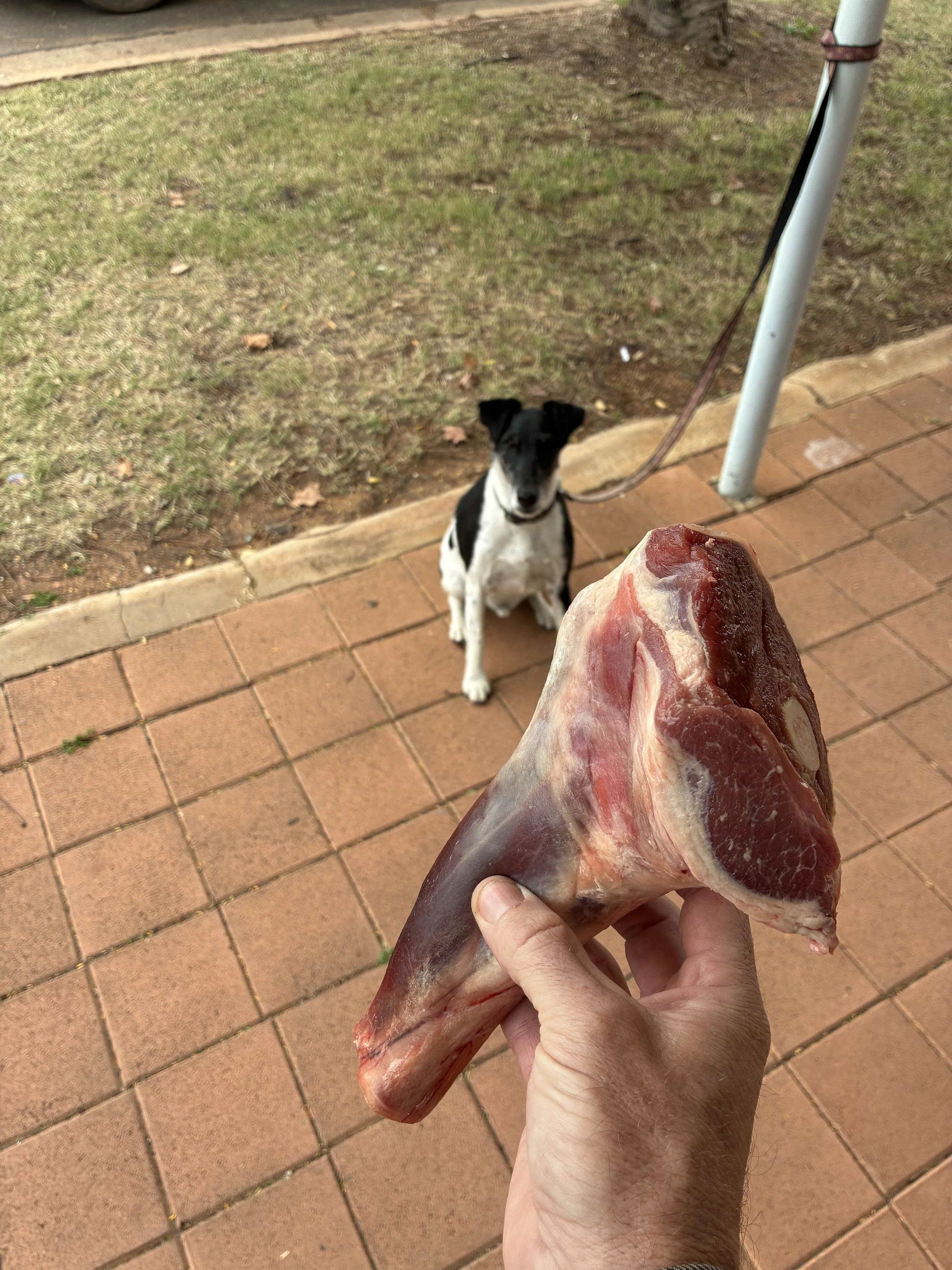 IMG_8898.jpeg