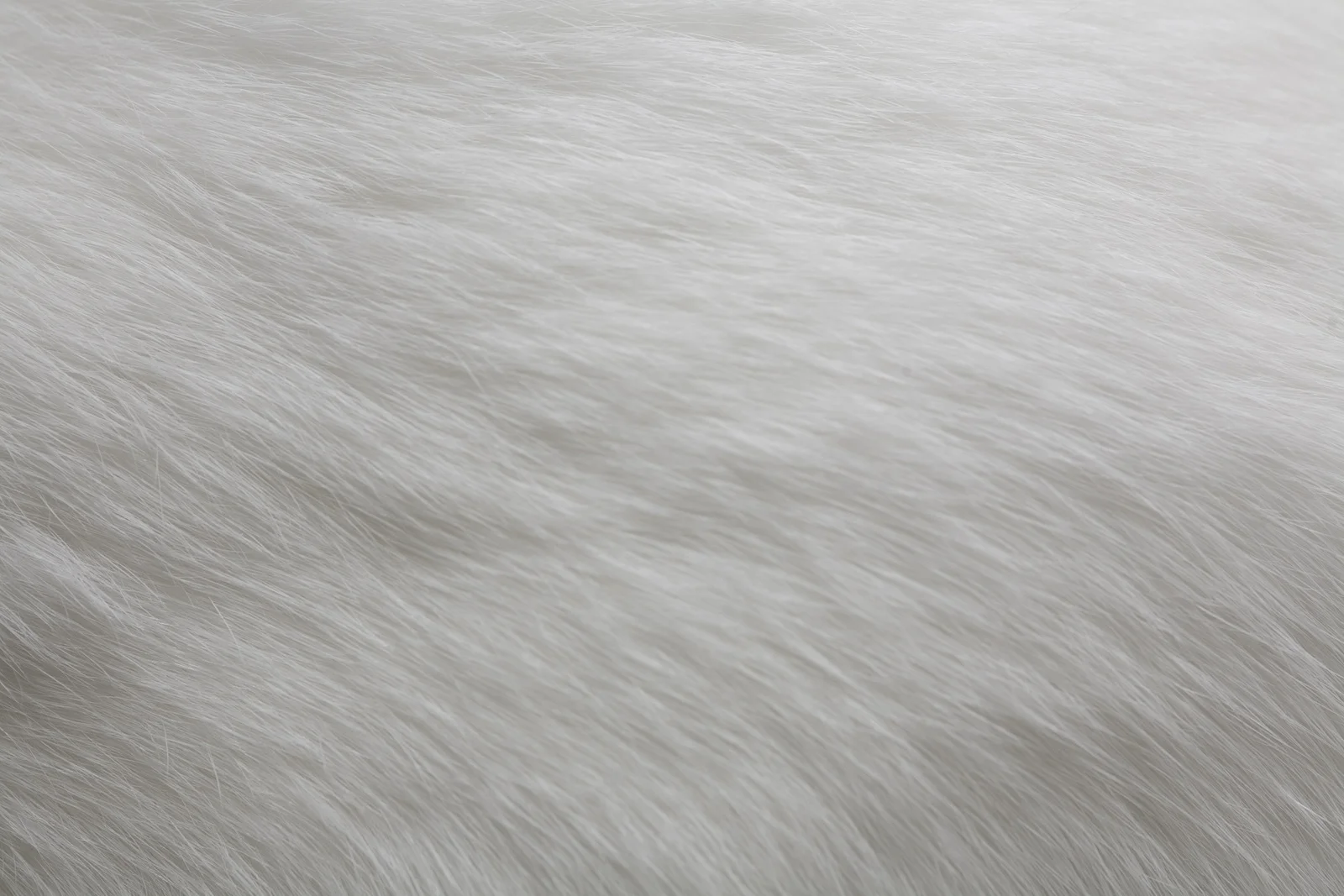 whitefur.jpg