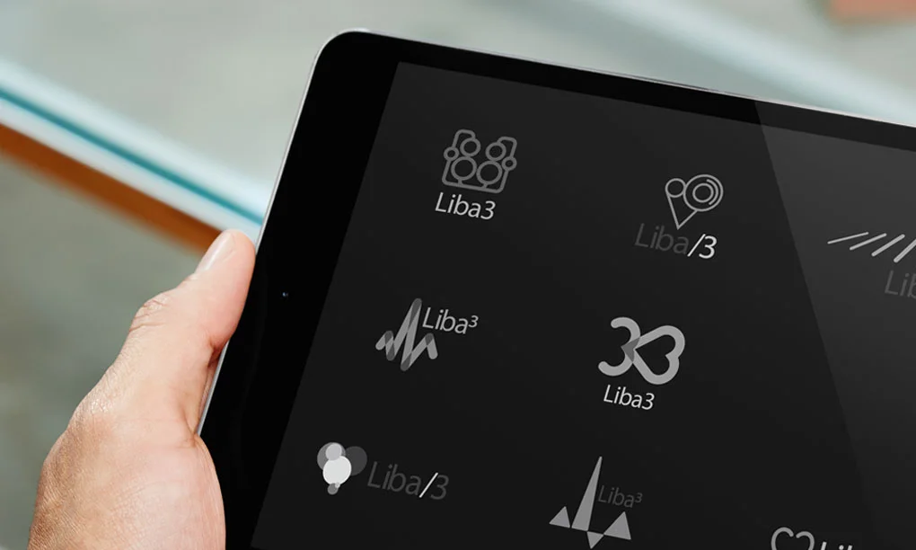 Liba3 visual identity concepts