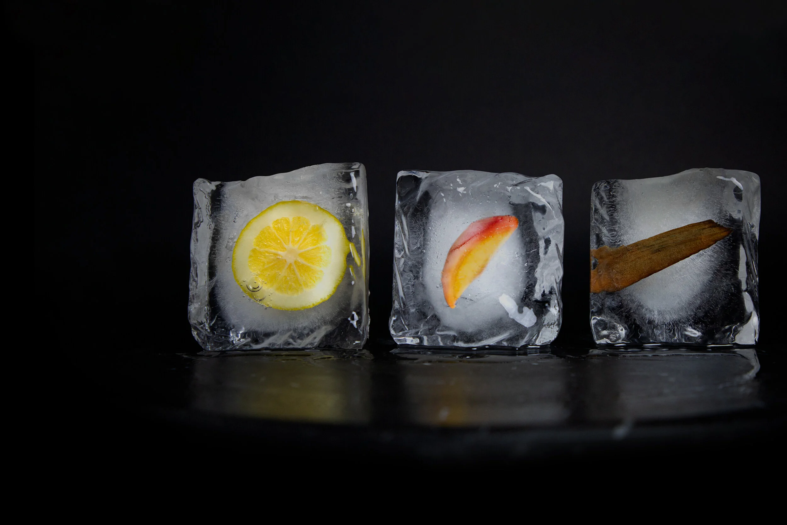 ICEB_2500_banner.jpg