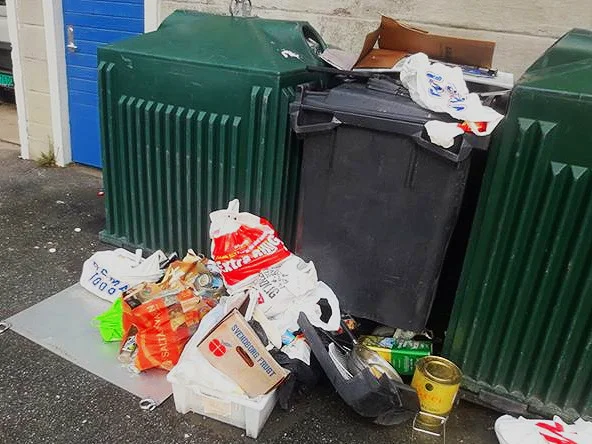 2019+simas+full+container.jpg