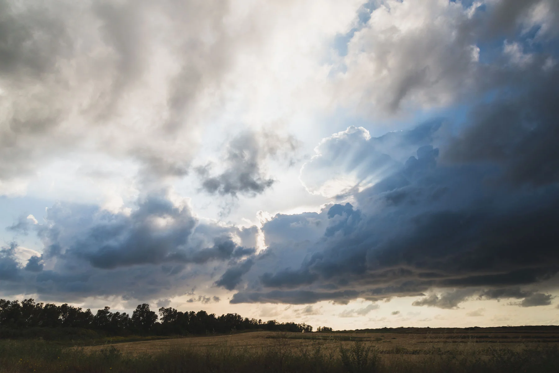 DSC_0167-EDIT.jpg