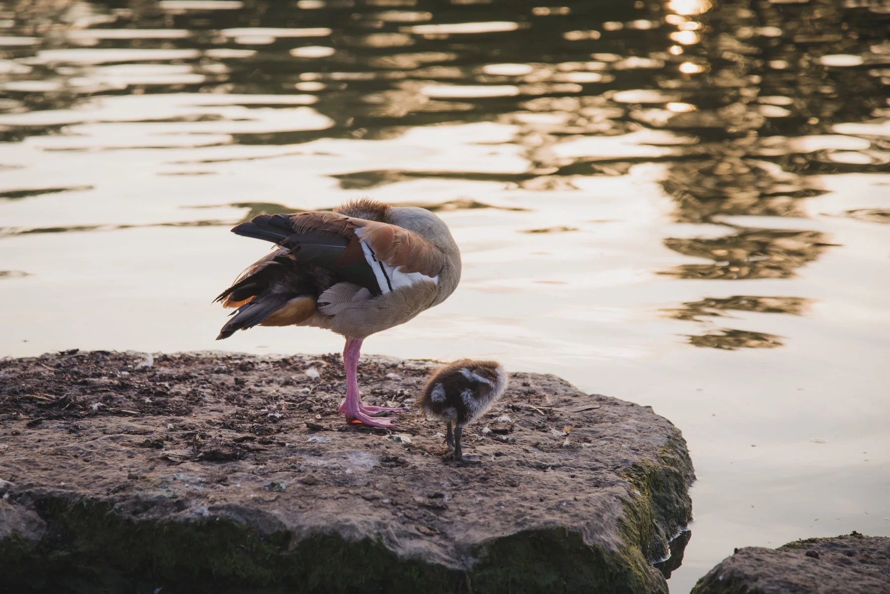 DSC_2670-EDIT.jpg