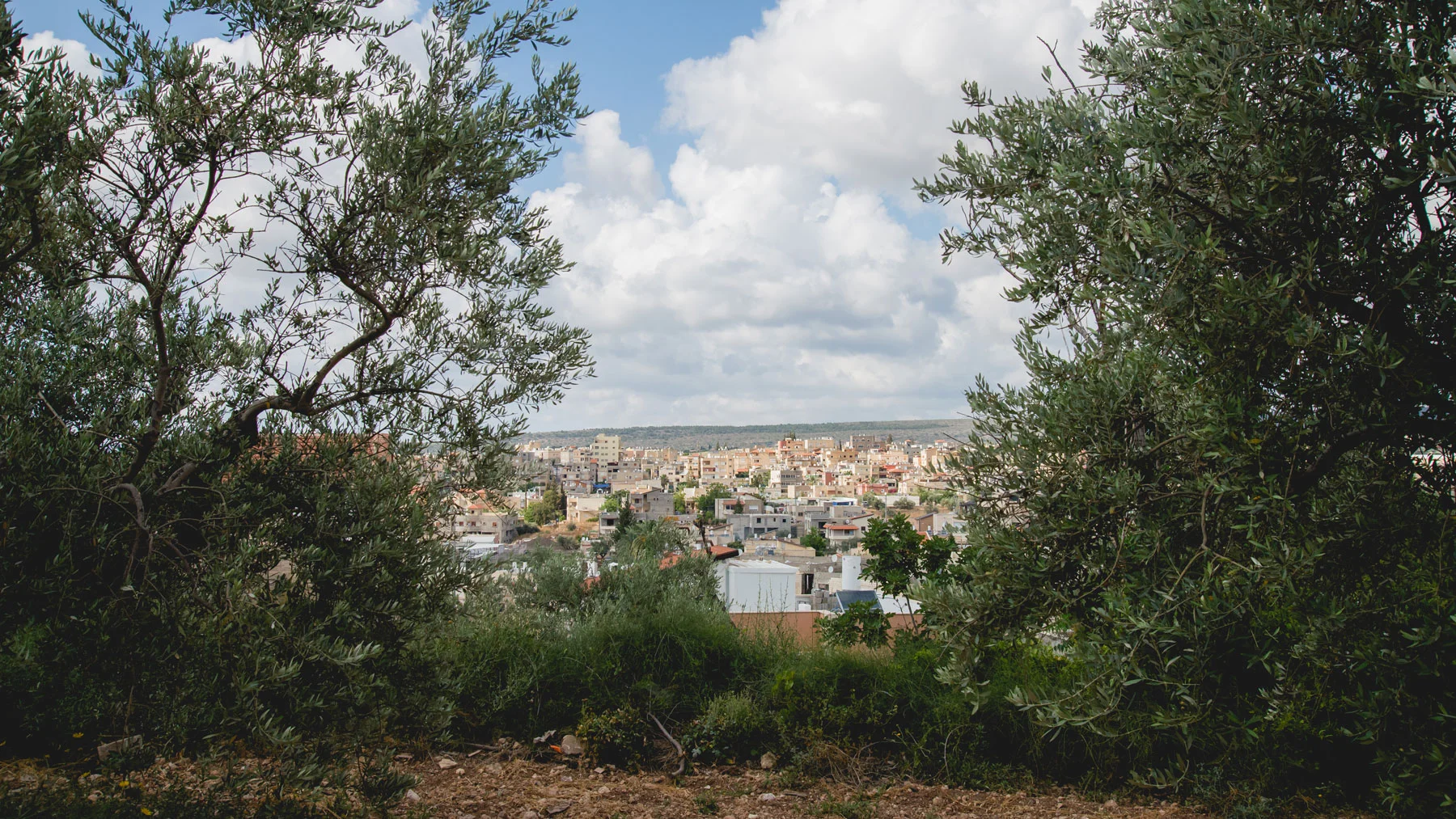 DSC_4801-EDIT.jpg