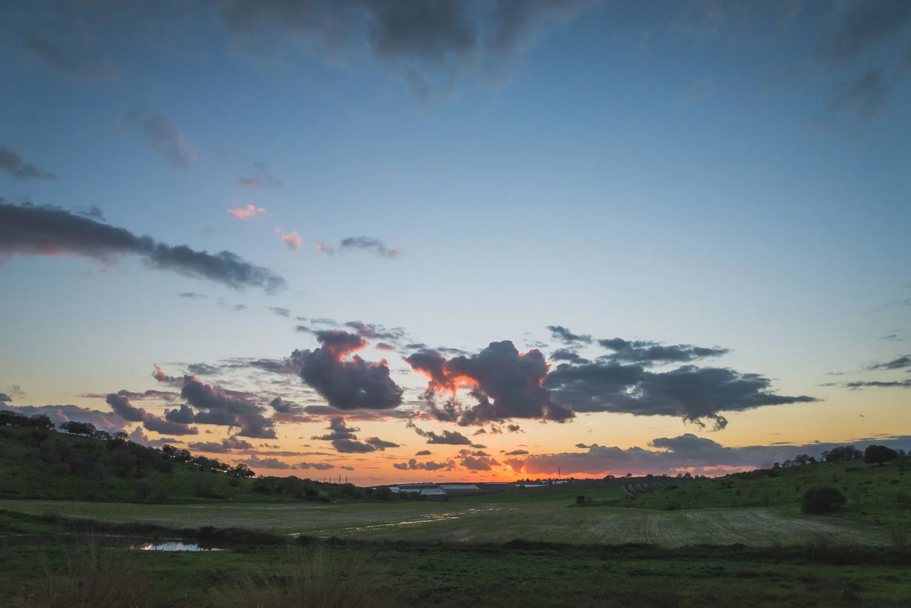 DSC_5849-EDIT.jpg