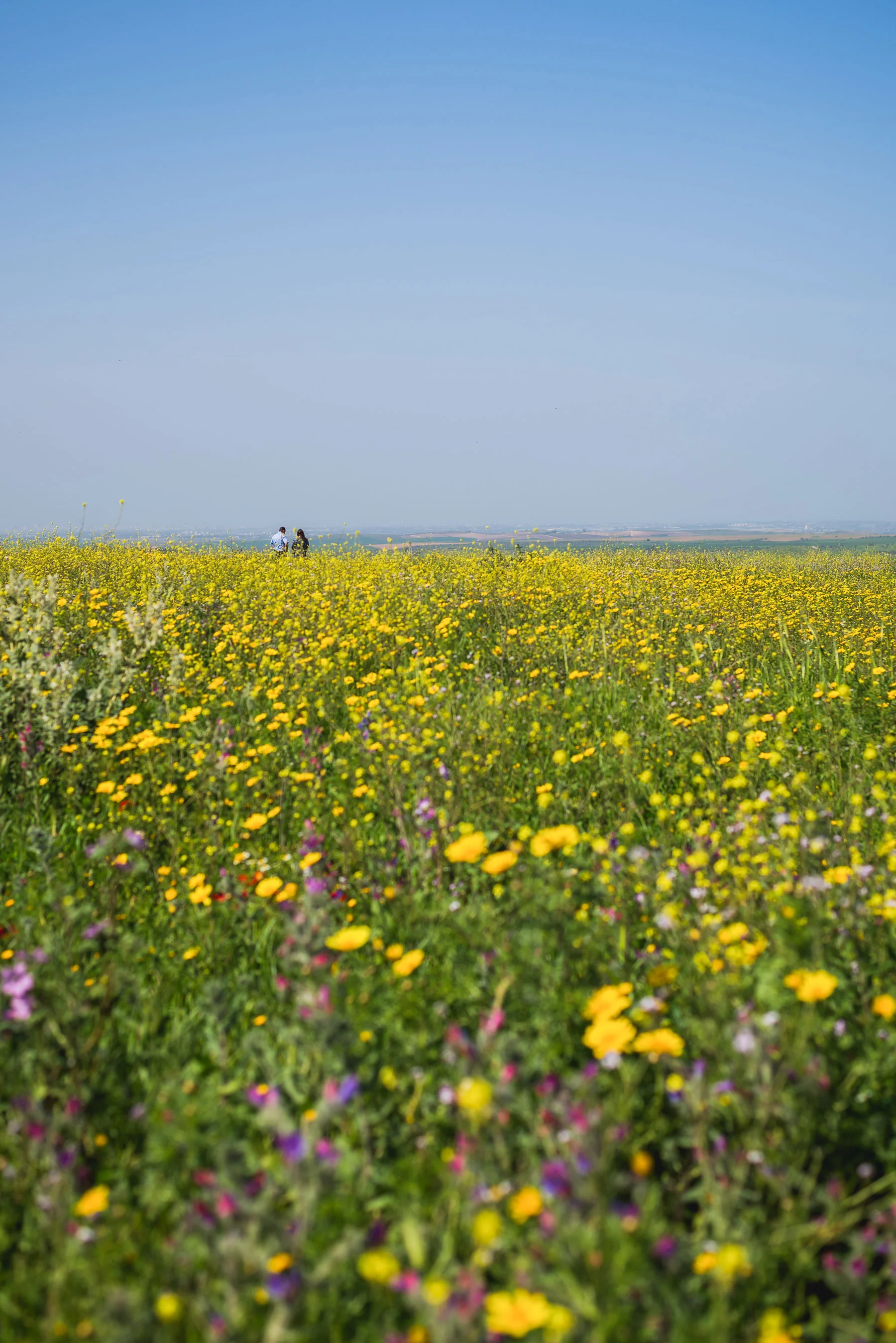 DSC_6166-EDIT-EDIT.jpg