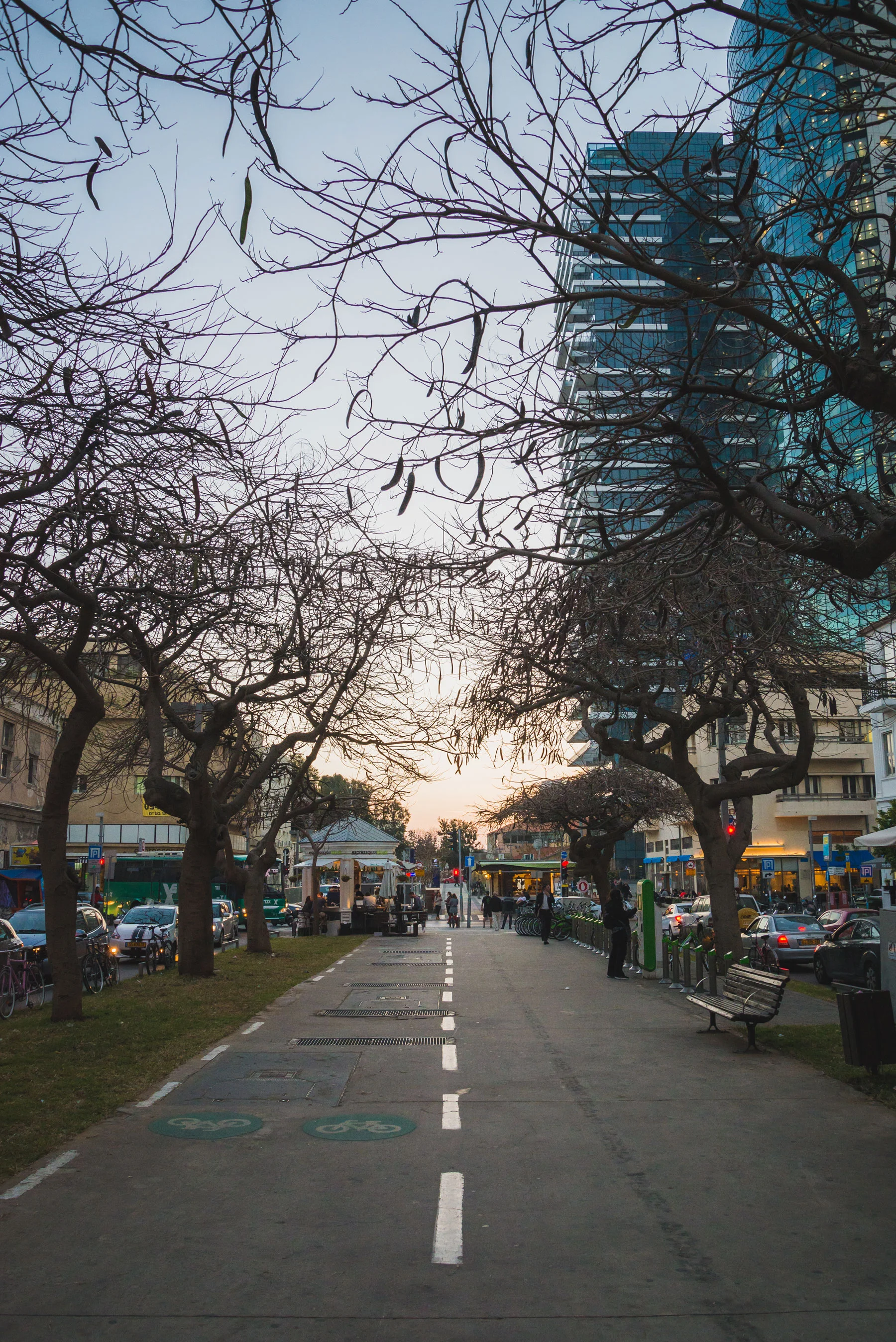 DSC_8379-EDIT.jpg