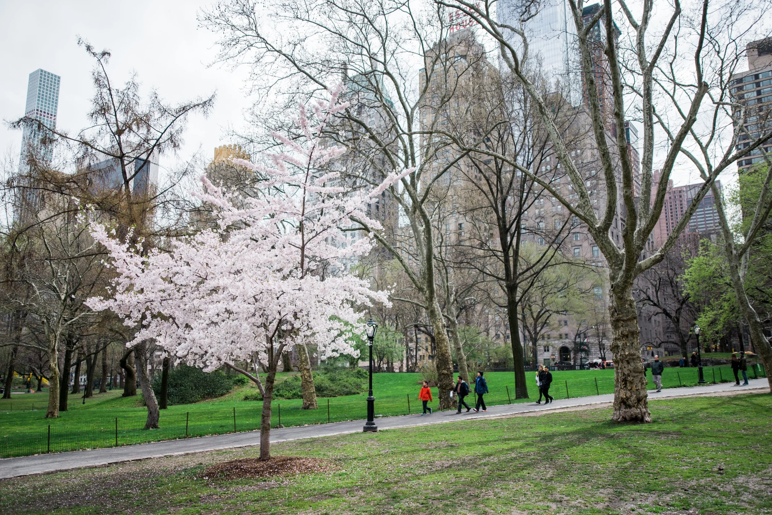 _DSC6020_WEB.jpg