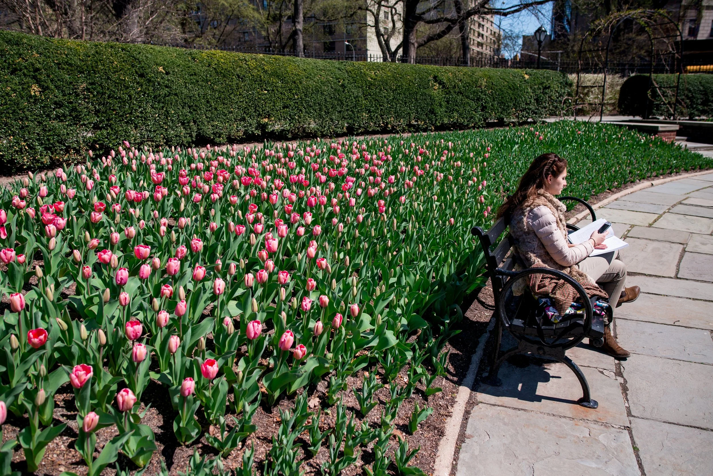 _DSC6397 Export_WEB.jpg