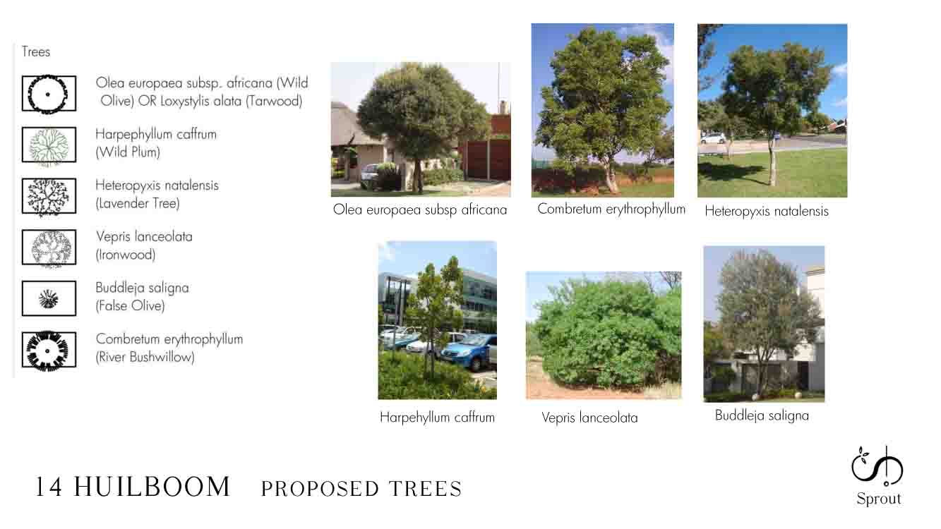 14 HUILBOOM landscape proposal 150706-4.jpg