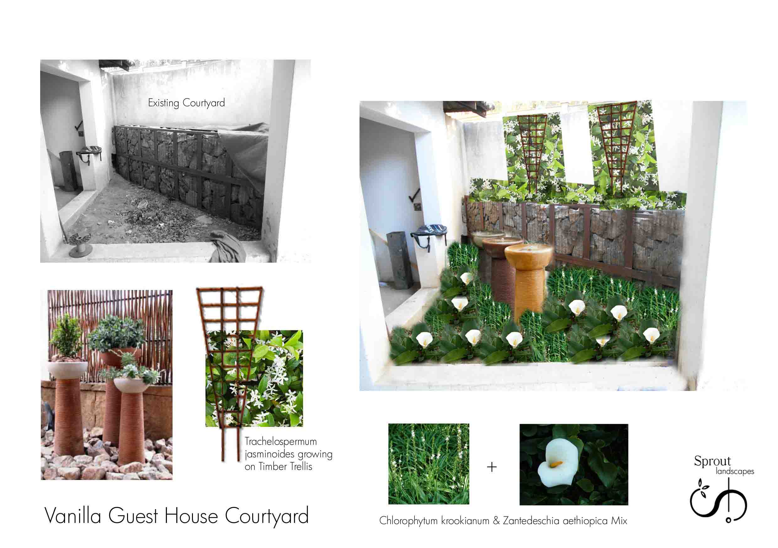 Vanilla Guest House Courtyard Impression 160903.jpg