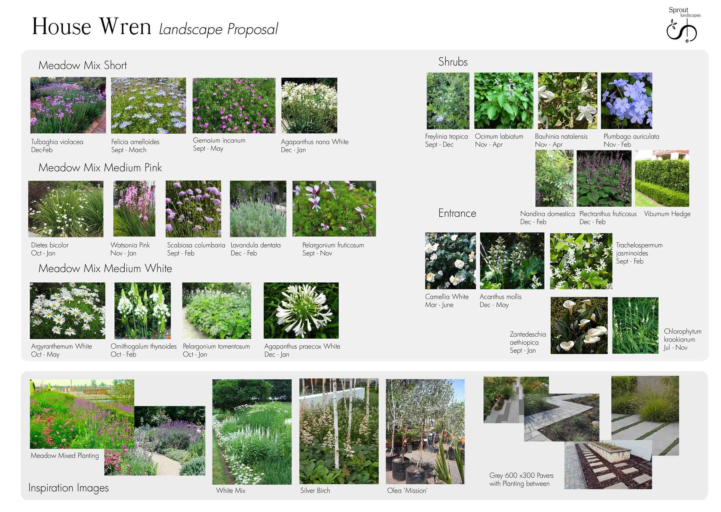 House Wren plant palette 160913 rev2_edited-1.jpg