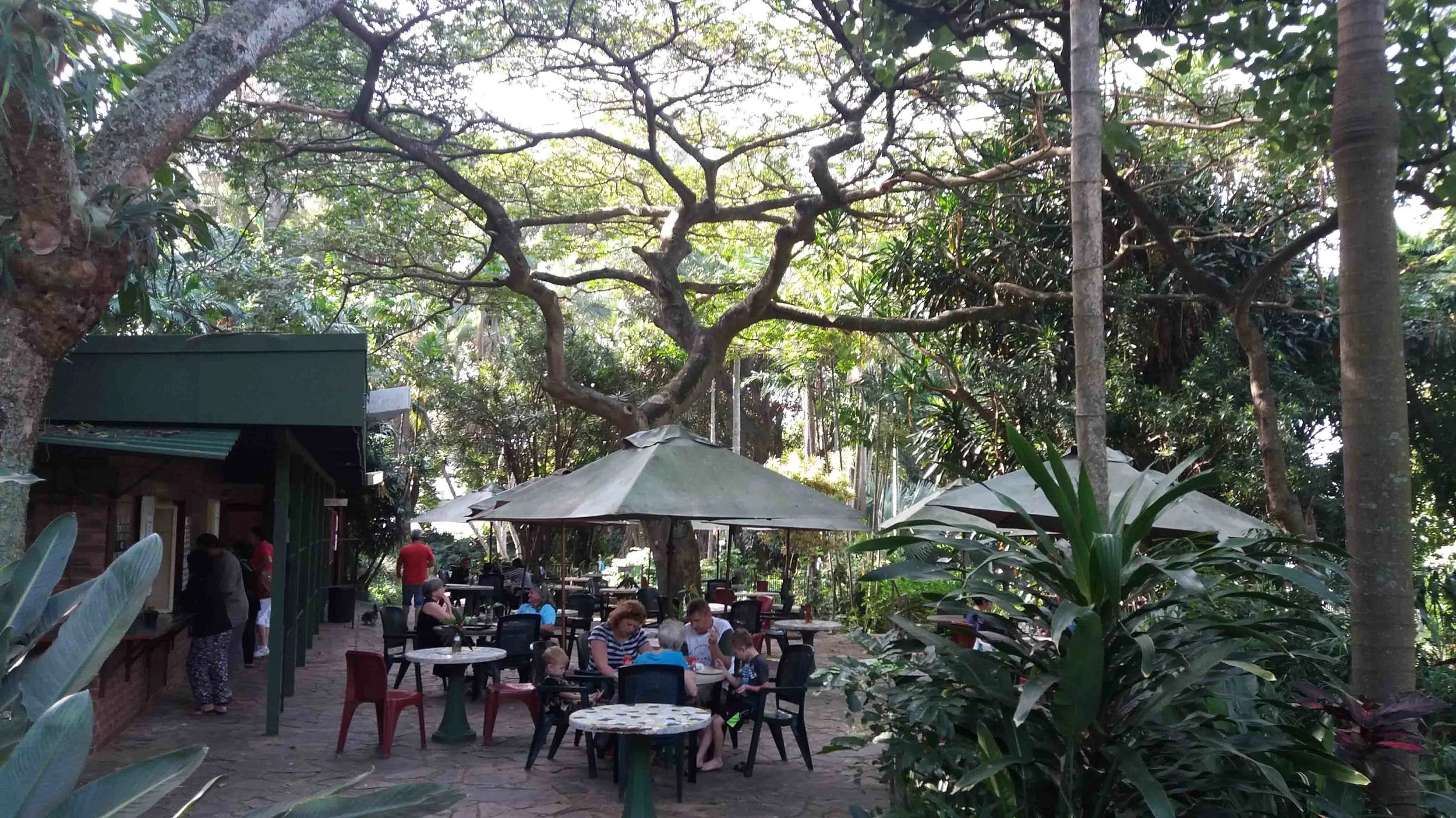 Durban Botanic Gardens — Sprout Landscapes