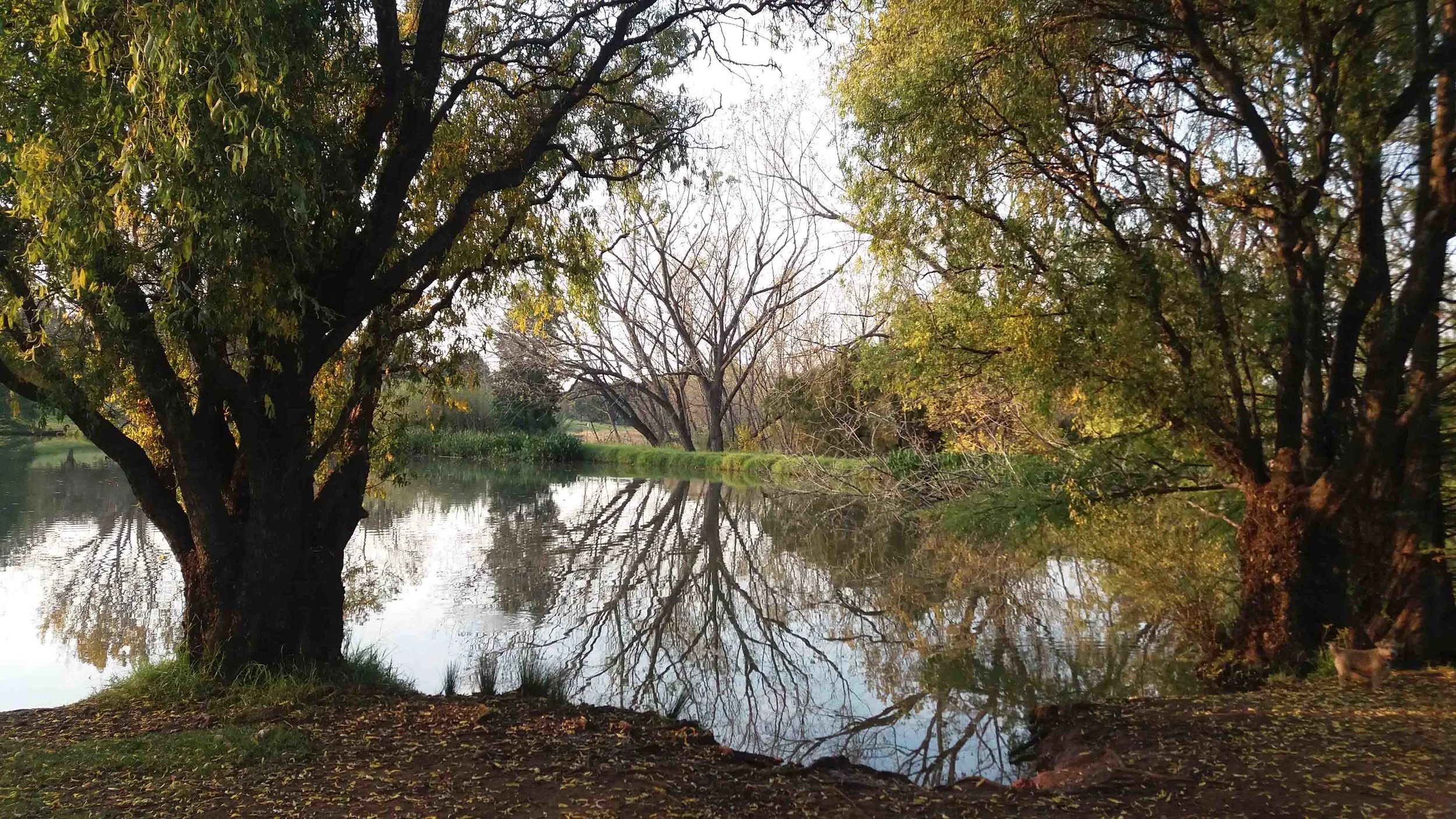 Top Dam - view across to Dam Wall