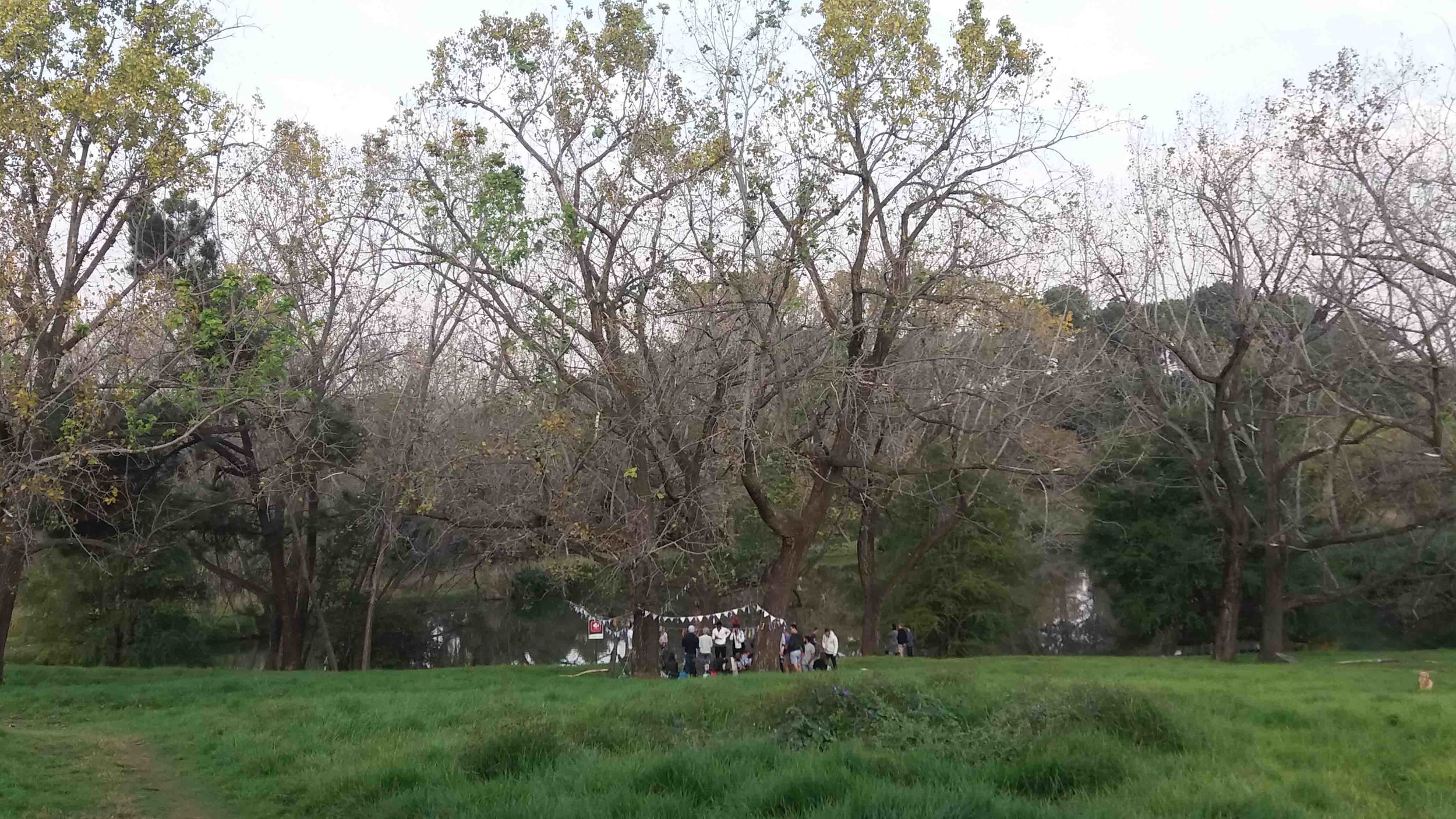 Party on the Grass next to the Top Dam