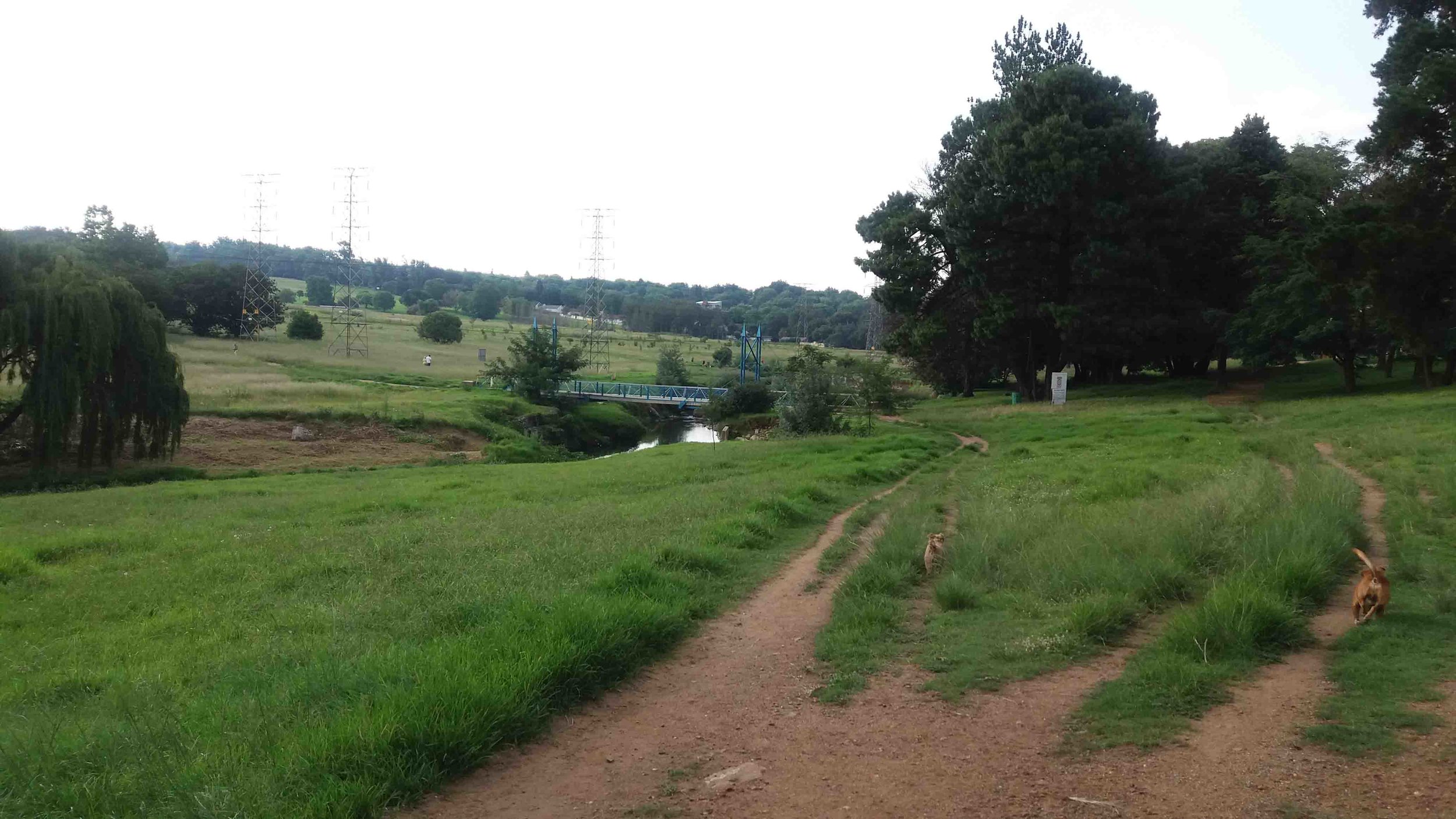 Blue Bridge into Green Belt from Craighall Park