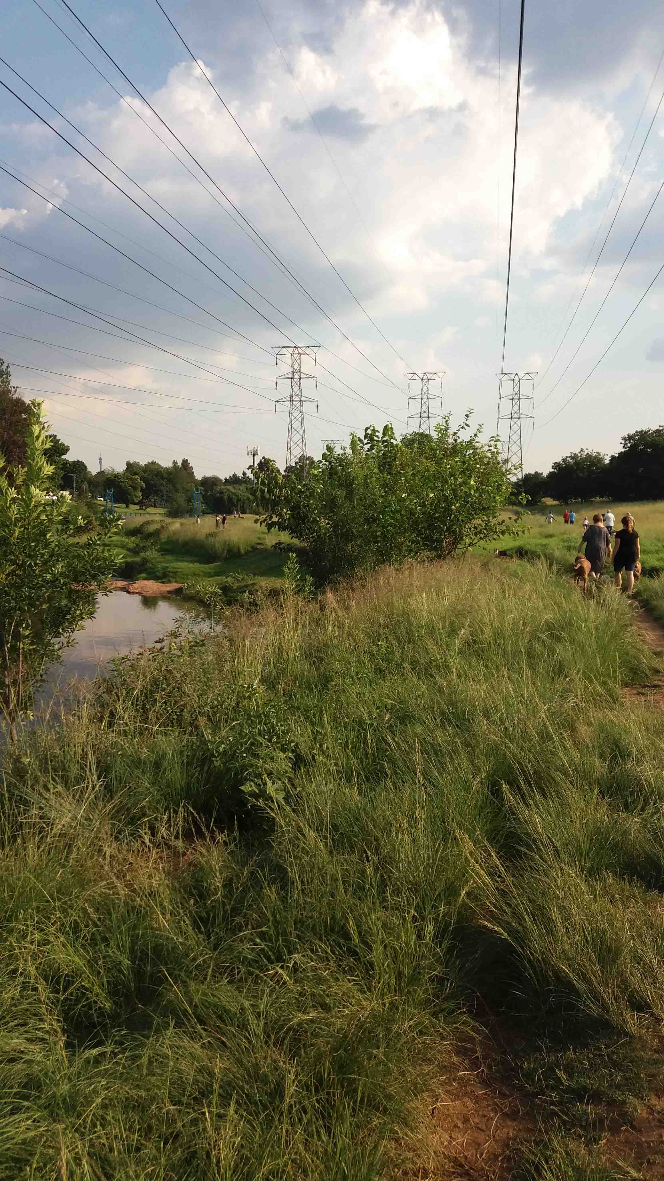 Walkway along Braamfontein Spruit in Green Belt underneath Pylons