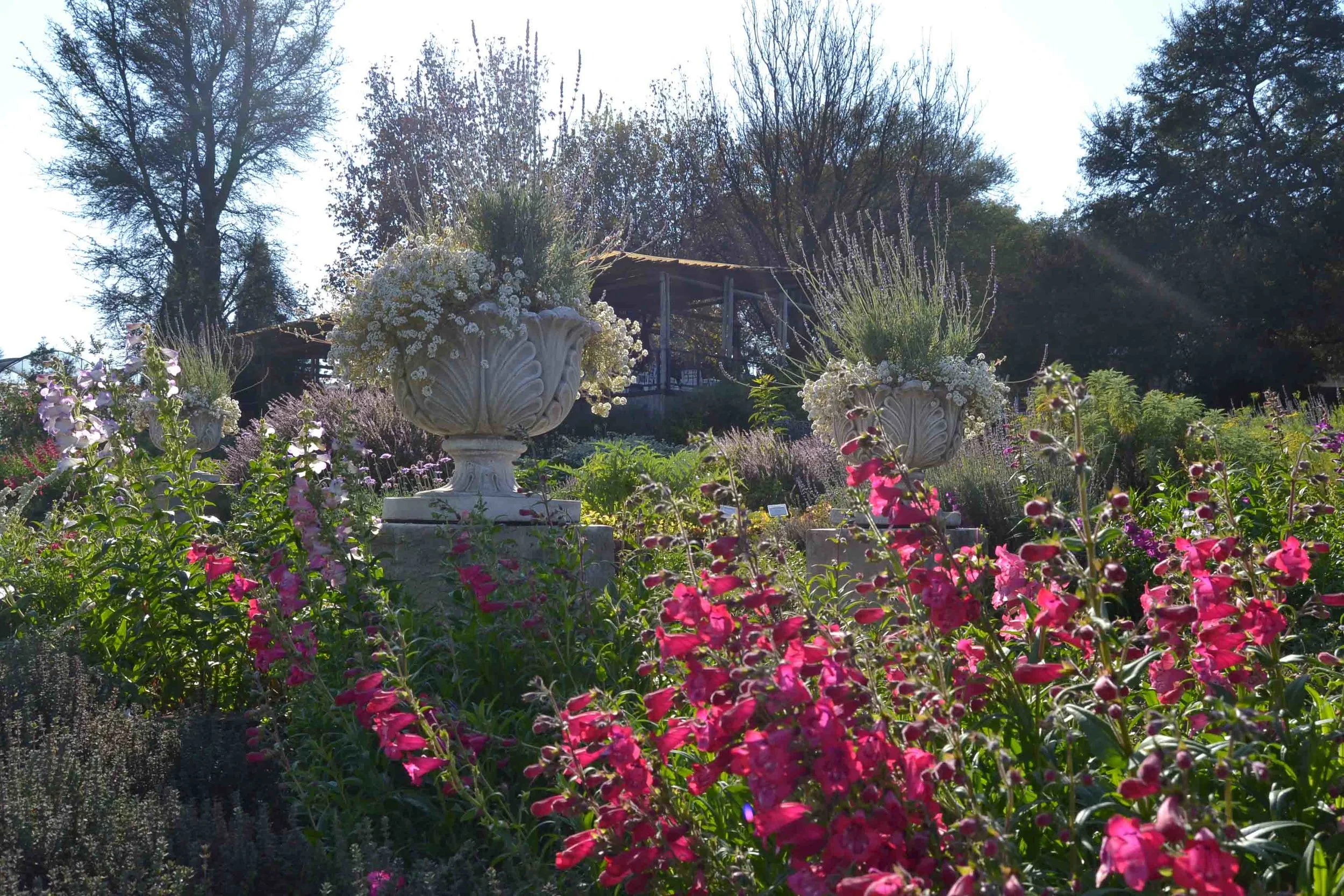 The Herb Farm At Doonholm Nursery Sprout Landscapes