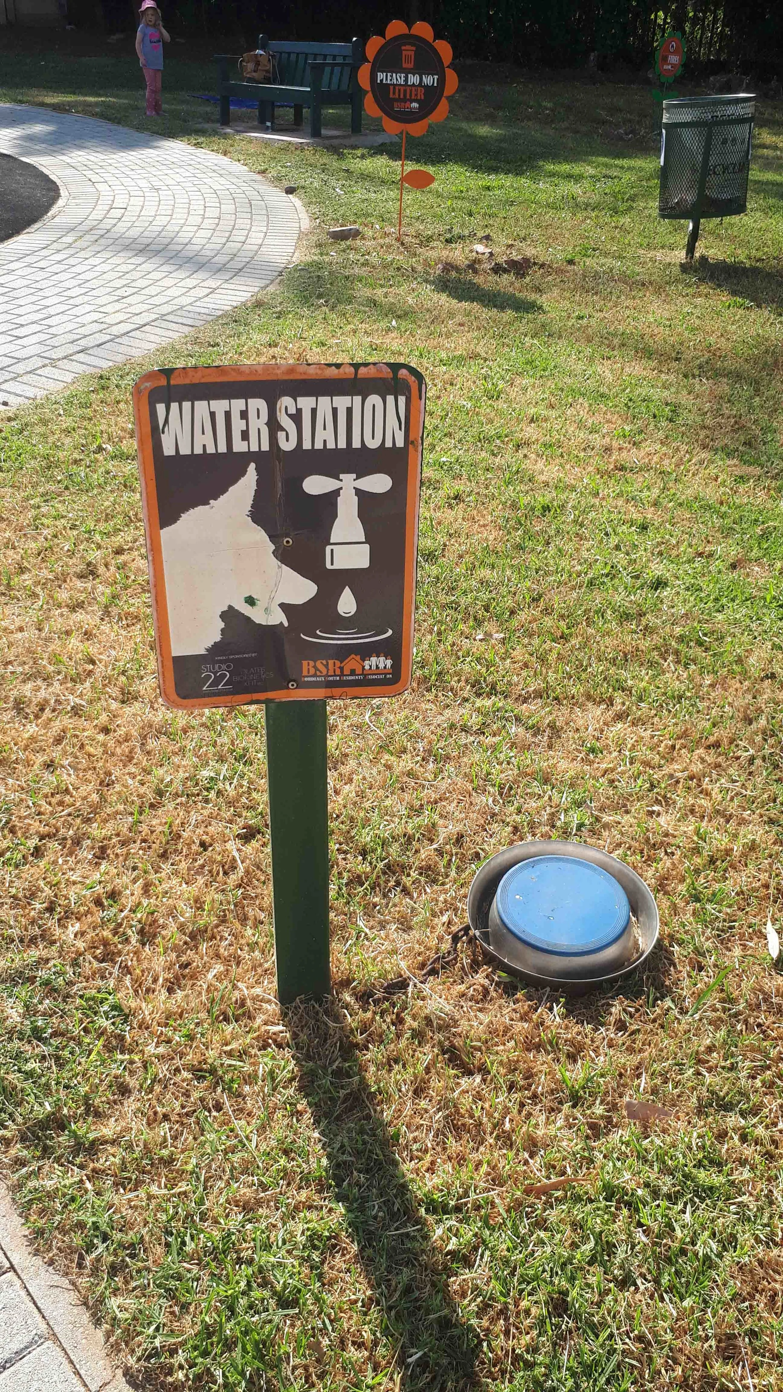 Water Bowls for Dogs visiting the Park
