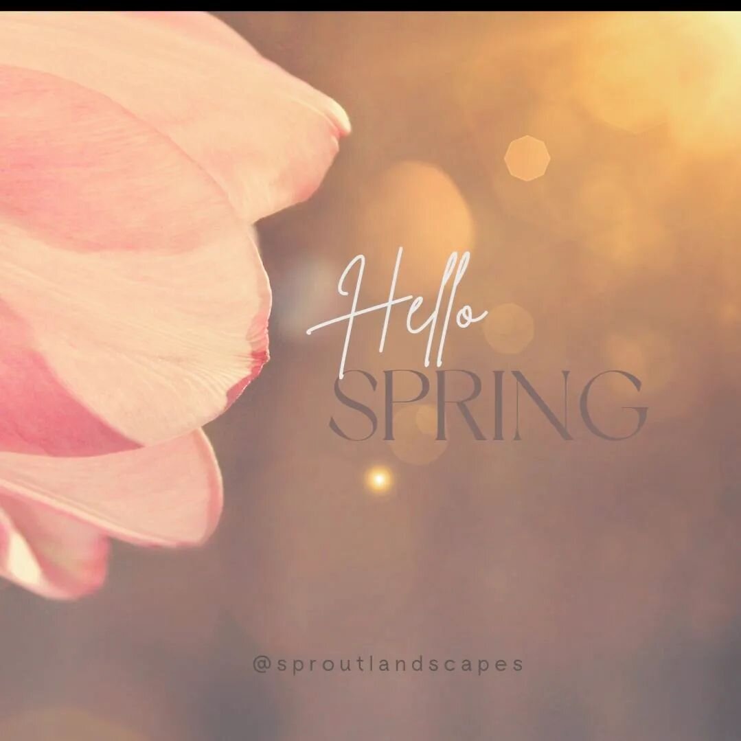 Happy Spring Day! 🌷 
Always a special date on my calendar. Love the warmth and sunshine of the months ahead 💕 

#springday
#september
#loveyourgarden 
#lovespring
#landscapedesigner