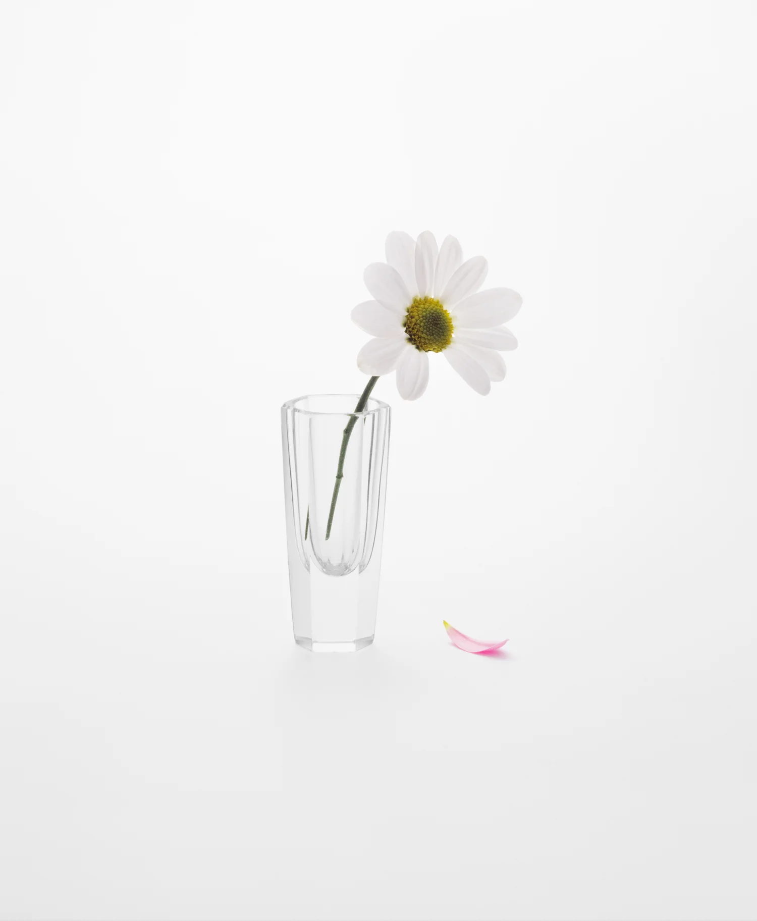 flowernancyfouts.jpg