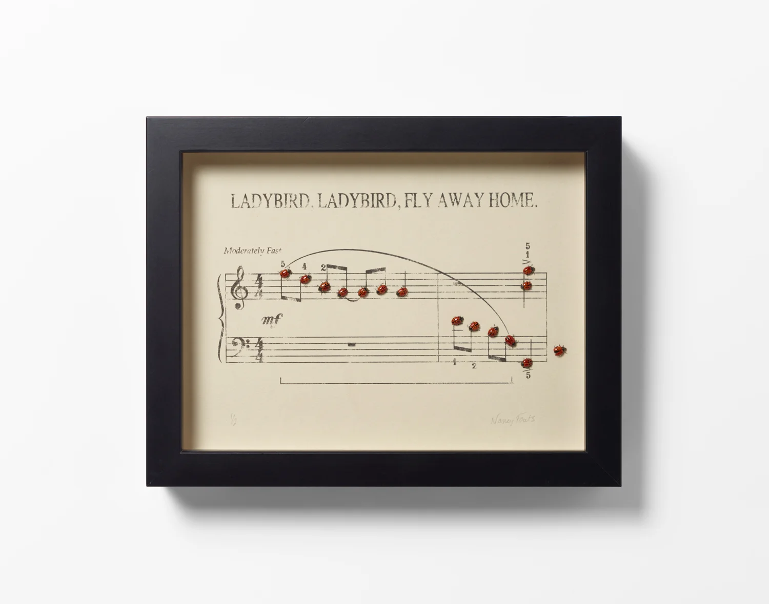 Ladybird, Ladybird, Fly Away home