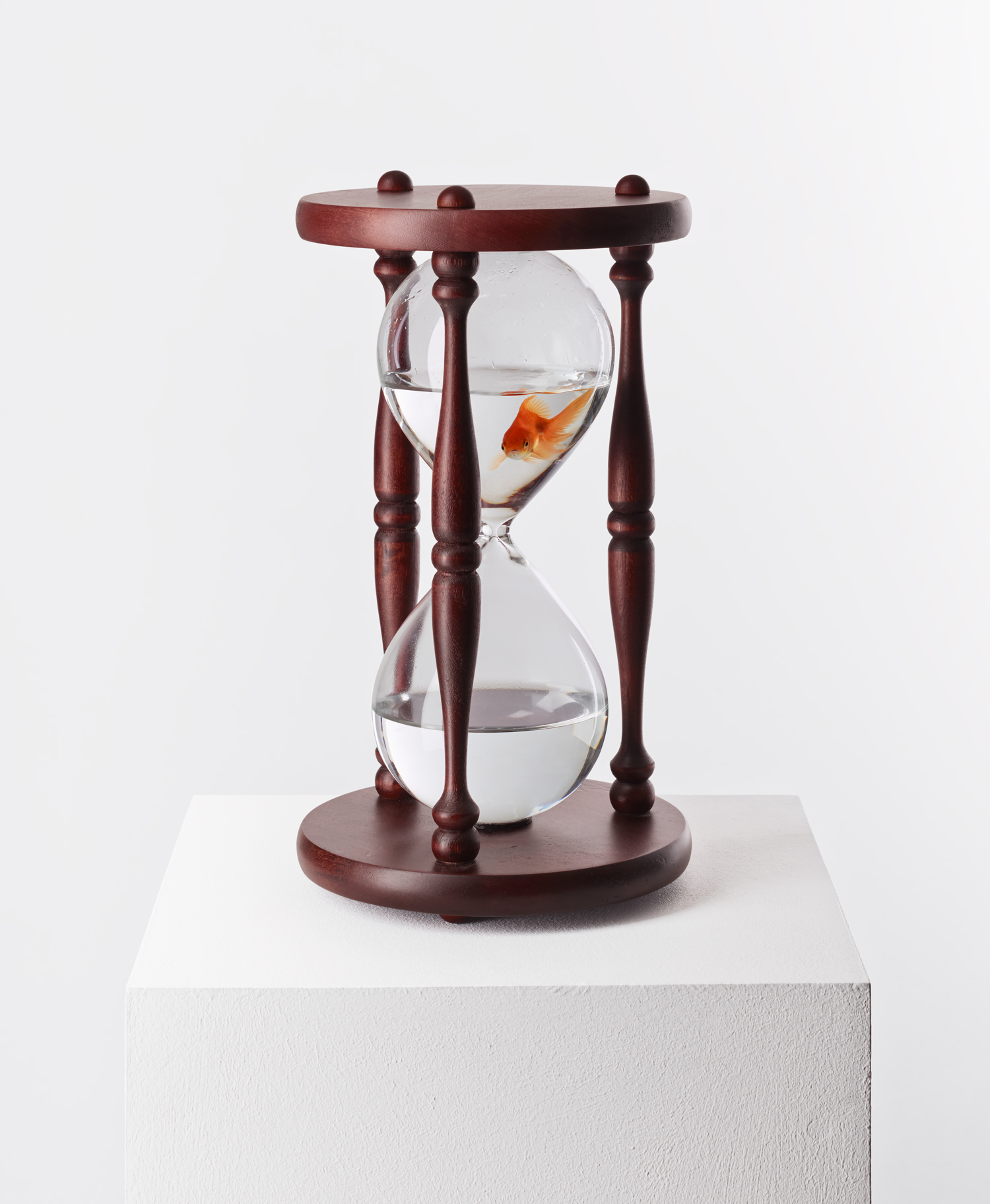 Fish Timer