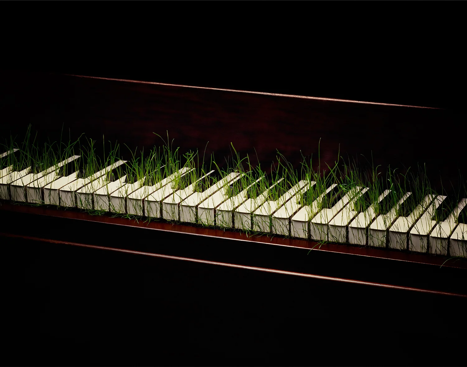 Piano with grass