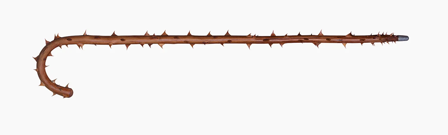 Walking Stick