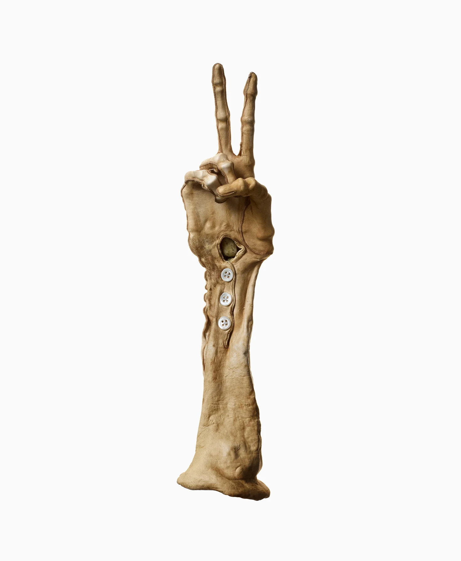 Shrunken Gloves 2