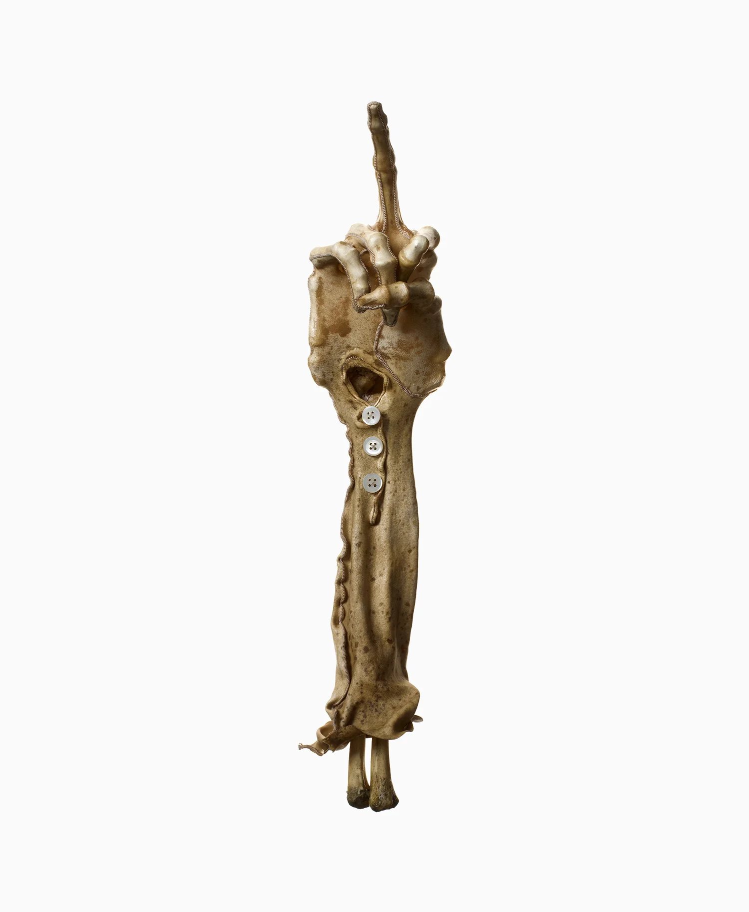 Shrunken Gloves 1
