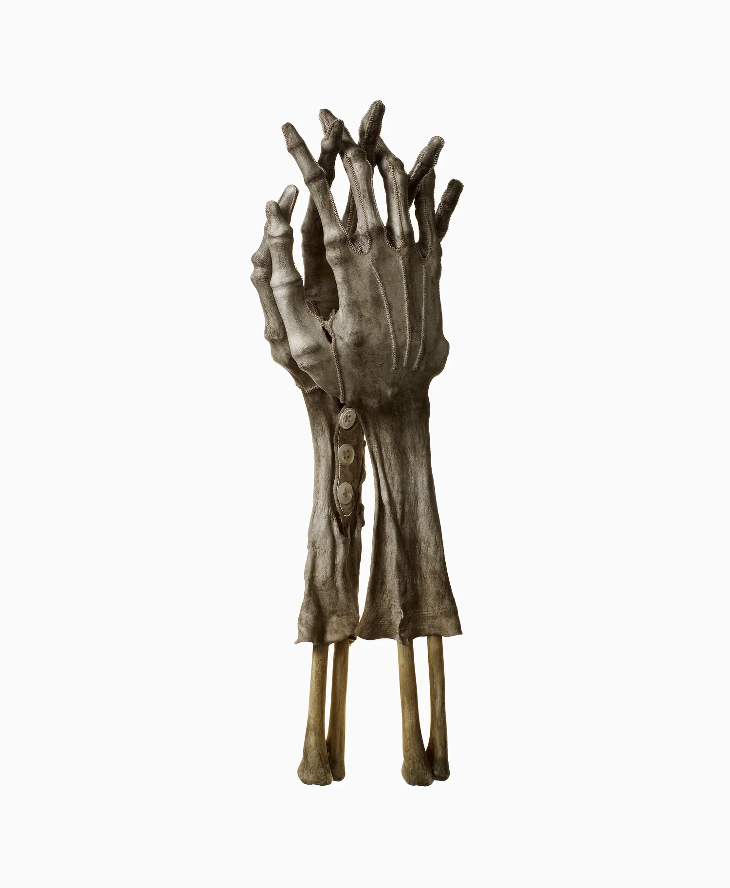 Shrunken Gloves 4