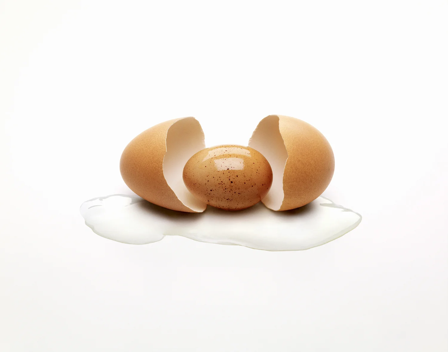 Egg Birth