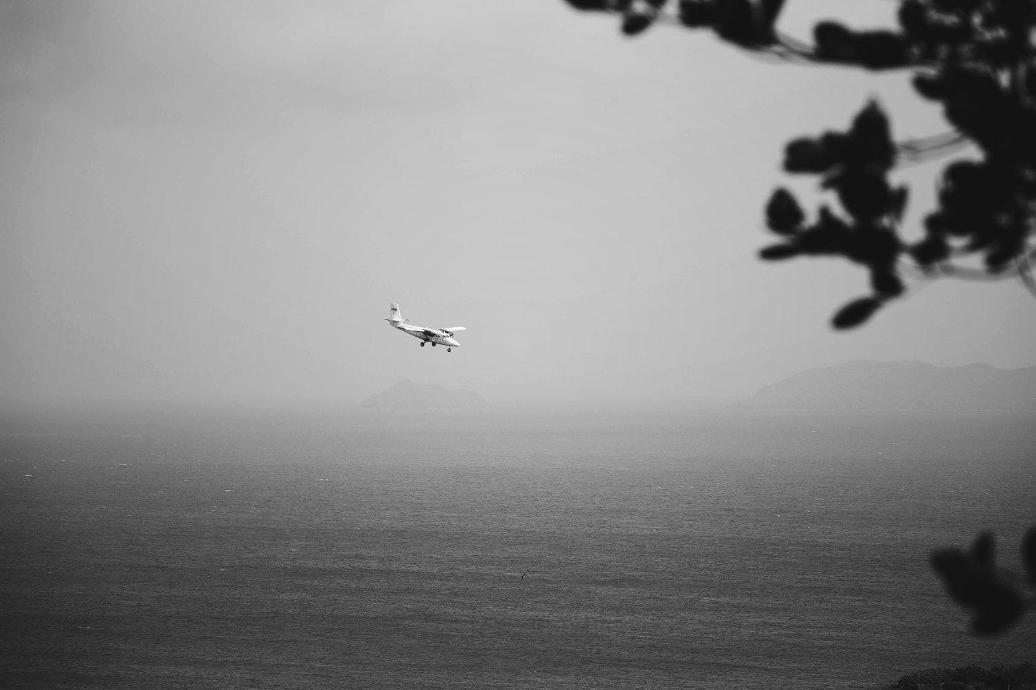IMG_1516.jpeg