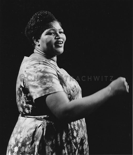 Big Mama Thornton: Queen of Rock and Roll — Francesca Harding