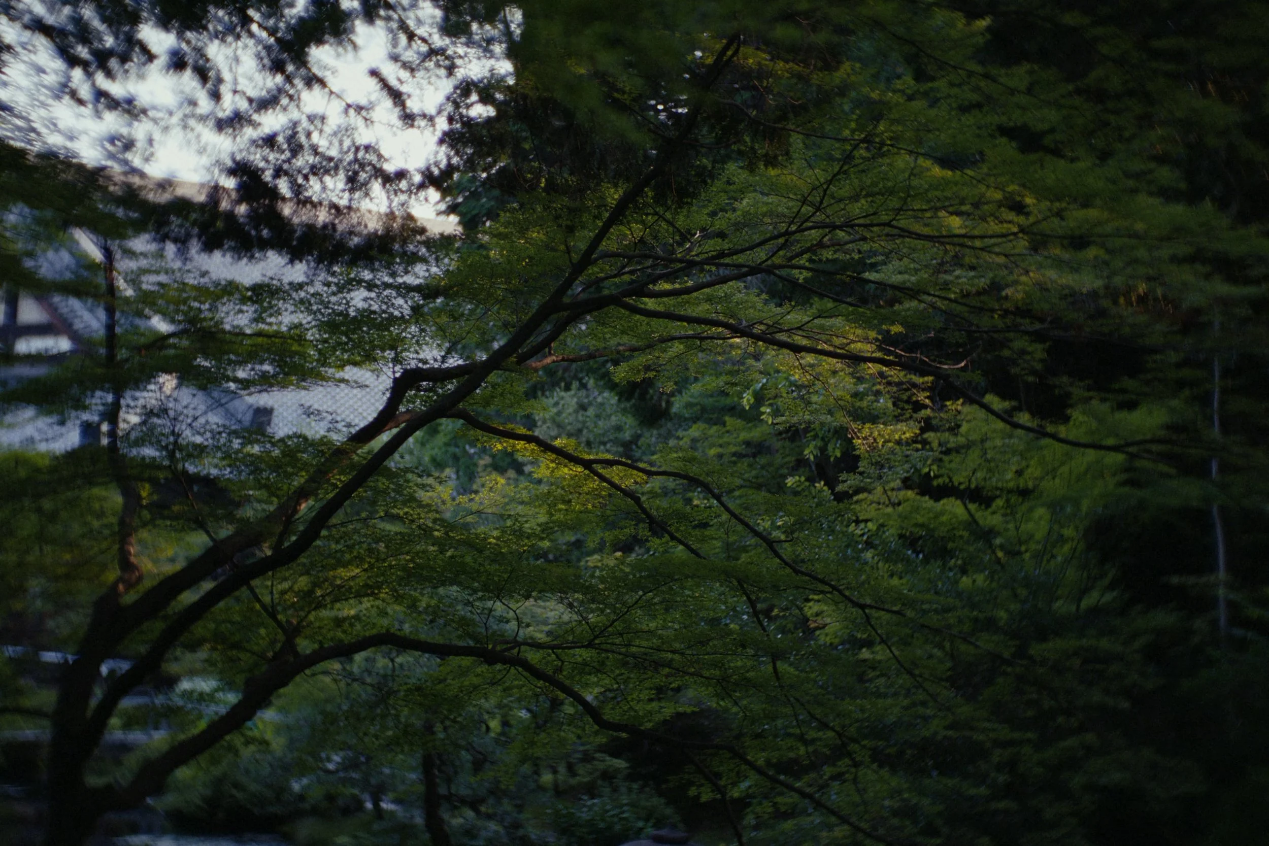 SK-II_still_2.jpg