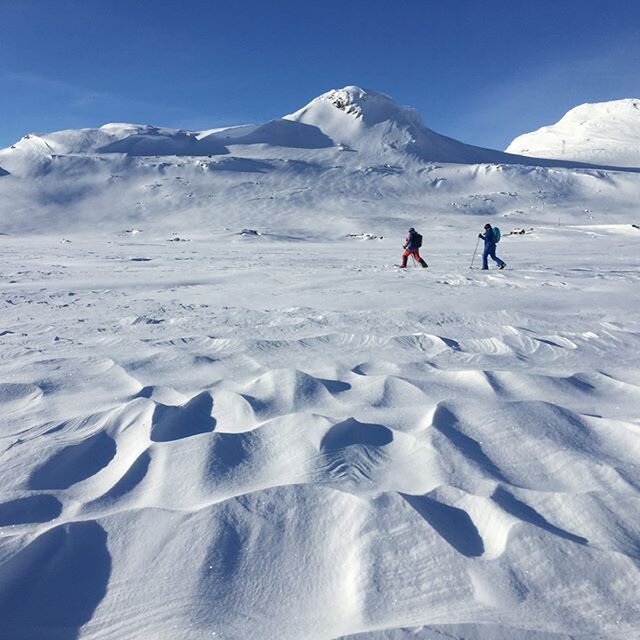 Sunshine and blue skies! After days of low cloud, snow and strong winds, we had a break while we were out for gps practise, with the mountains and sastrugi (wind ridges) making an appearance.
.
After some very full few days we&rsquo;re heading off to